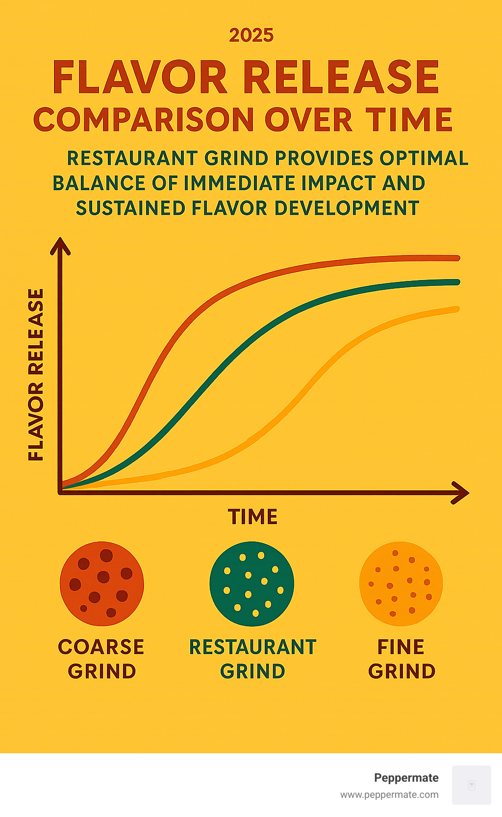 Infographic showing the flavor release comparison between different grind sizes over time, demonstrating how restaurant grind provides optimal balance of immediate impact and sustained flavor development - what is restaurant grind black pepper infographic 