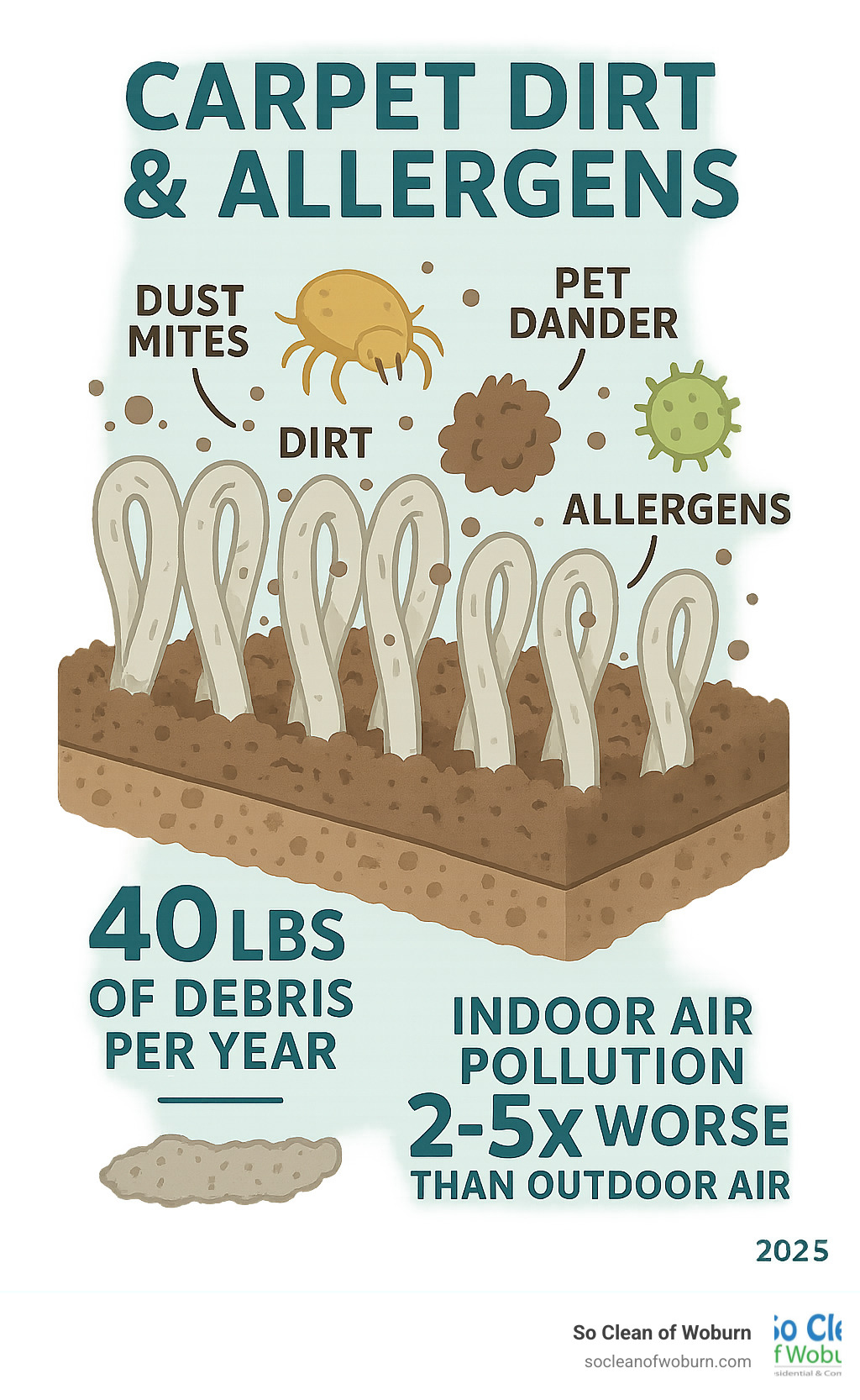 Infographic showing cross-section of carpet fibers filled with dirt, dust mites, pet dander, and allergens, with statistics showing 40 lbs of accumulated debris per year and indoor air pollution being 2-5x worse than outdoor air - carpet cleaner near me infographic 