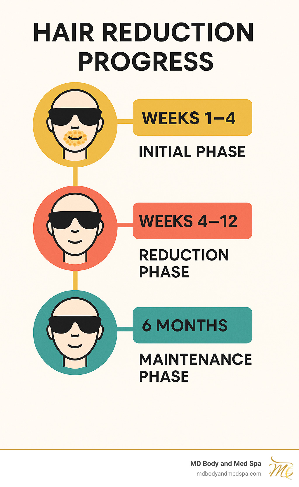 Timeline showing hair reduction progress over 6 months with initial phase (weeks 1-4), reduction phase (weeks 4-12), and maintenance phase - best at home laser hair removal for face infographic 