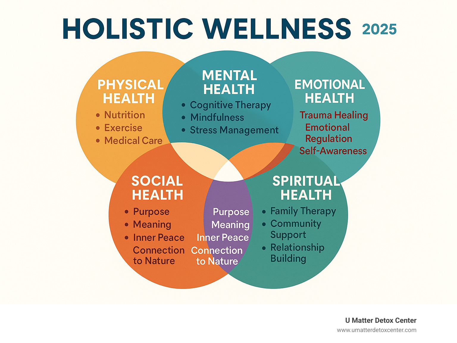 Infographic showing the five interconnected dimensions of holistic wellness: Physical health (nutrition, exercise, medical care), Mental health (cognitive therapy, mindfulness, stress management), Emotional health (trauma healing, emotional regulation, self-awareness), Social health (family therapy, community support, relationship building), and Spiritual health (purpose, meaning, inner peace, connection to nature) - holistic rehabilitation infographic 