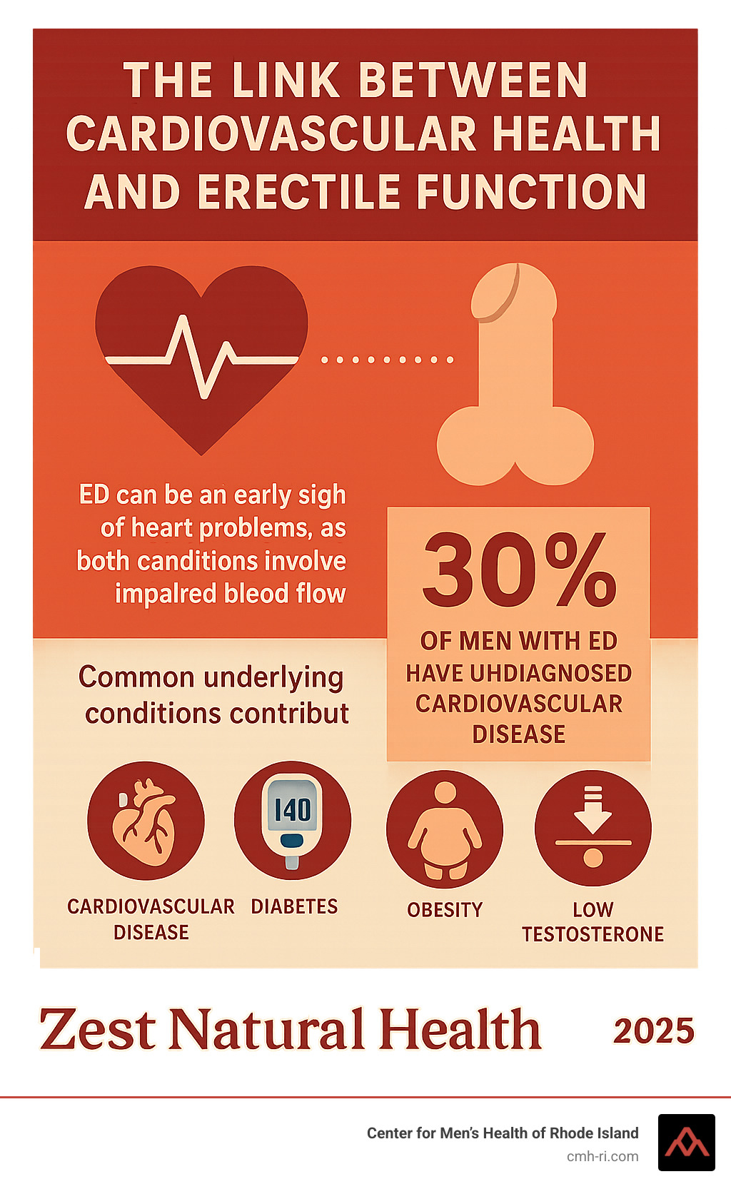 Infographic explaining the connection between cardiovascular health and erectile function - natural treatments for erectile dysfunction infographic 