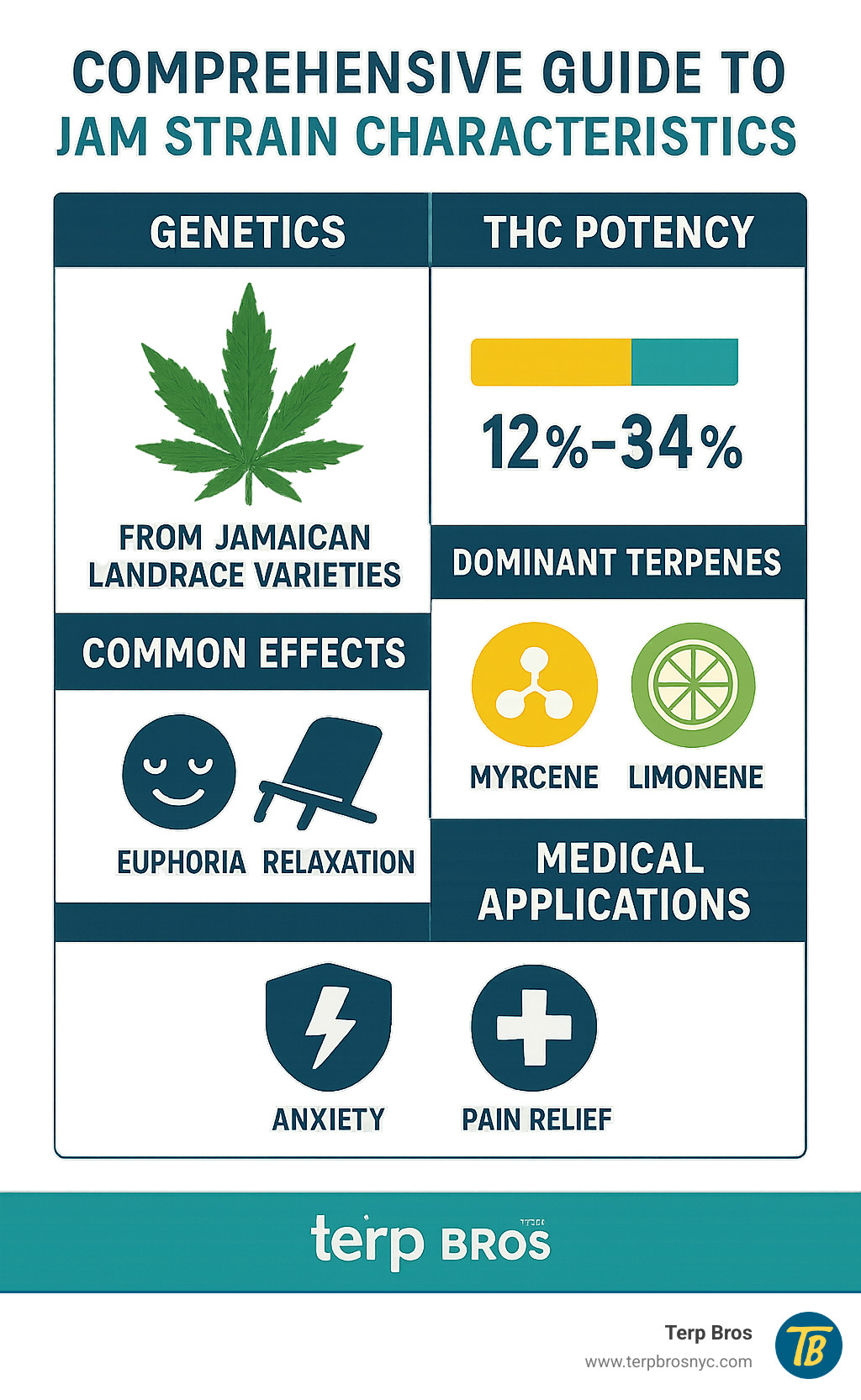 Comprehensive guide to Jam strain characteristics including genetics from Jamaican landrace varieties, THC potency ranges from 12-34%, dominant terpenes like myrcene and limonene, common effects such as euphoria and relaxation, and medical applications for anxiety and pain relief - jam jam strain infographic 