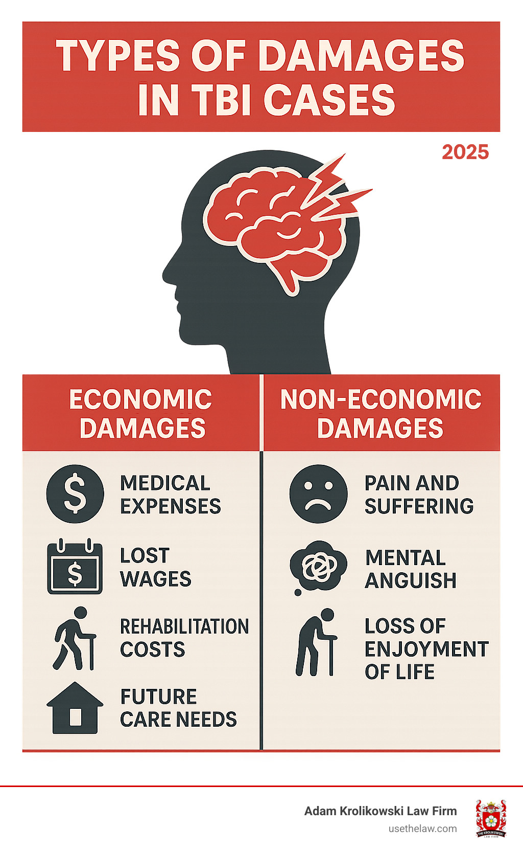 Infographic showing types of damages available in TBI cases: economic damages including medical expenses, lost wages, rehabilitation costs, and future care needs; non-economic damages including pain and suffering, mental anguish, and loss of enjoyment of life - head trauma injury attorney infographic 
