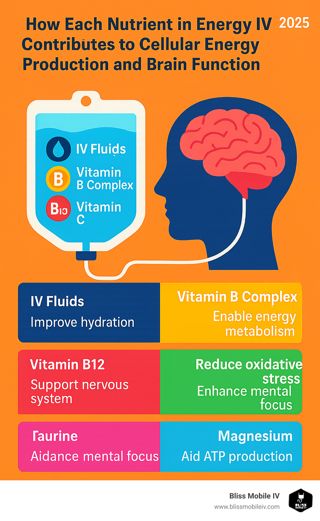 Infographic showing how each nutrient in energy IV contributes to cellular energy production and brain function - energy and focus iv infographic 