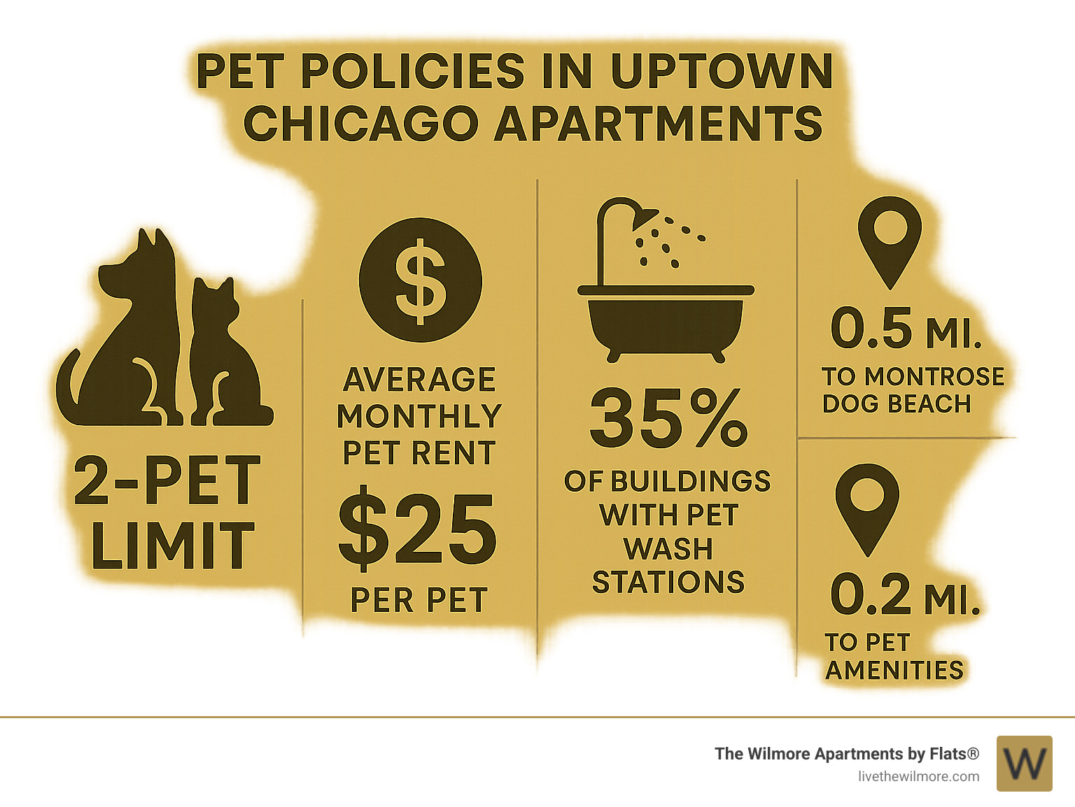 Statistical breakdown of pet policies in Uptown Chicago apartments showing 2-pet limits, percentage of buildings with pet wash stations, and proximity distances to Montrose Dog Beach and other pet amenities - apartments for rent uptown chicago infographic 