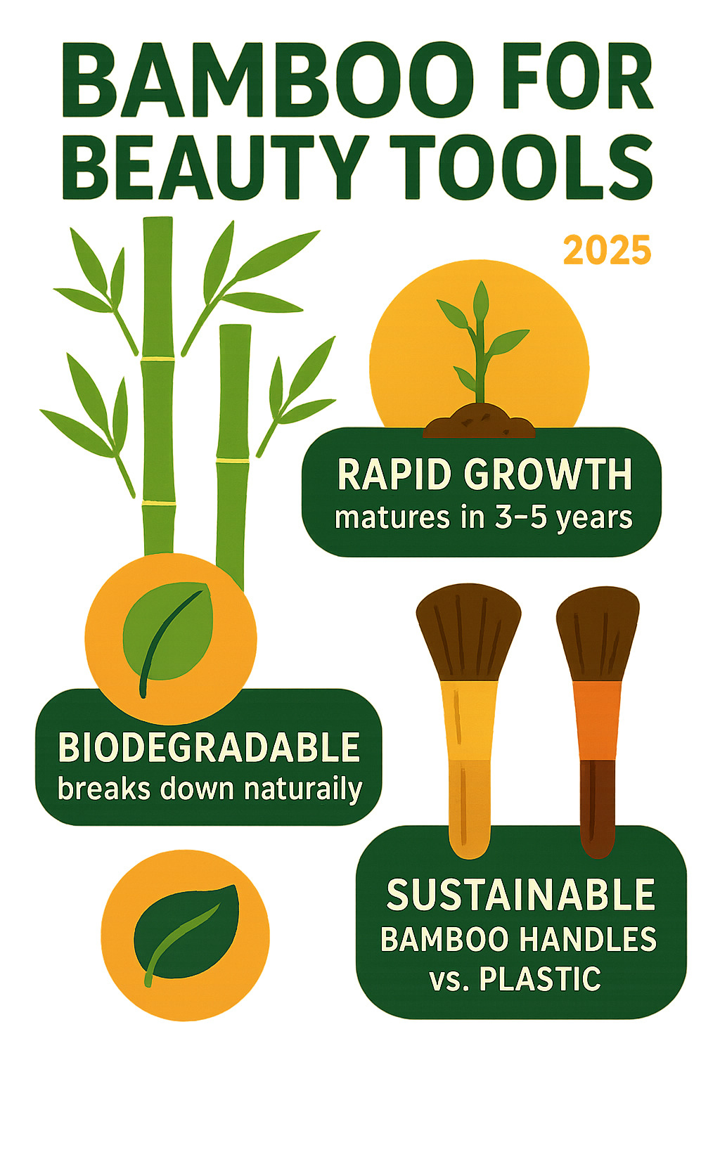 Infographic illustrating the key benefits of bamboo for beauty tools, showing its rapid growth cycle, biodegradability, and the sustainability of bamboo handles compared to plastic - Bamboo makeup brush set infographic 