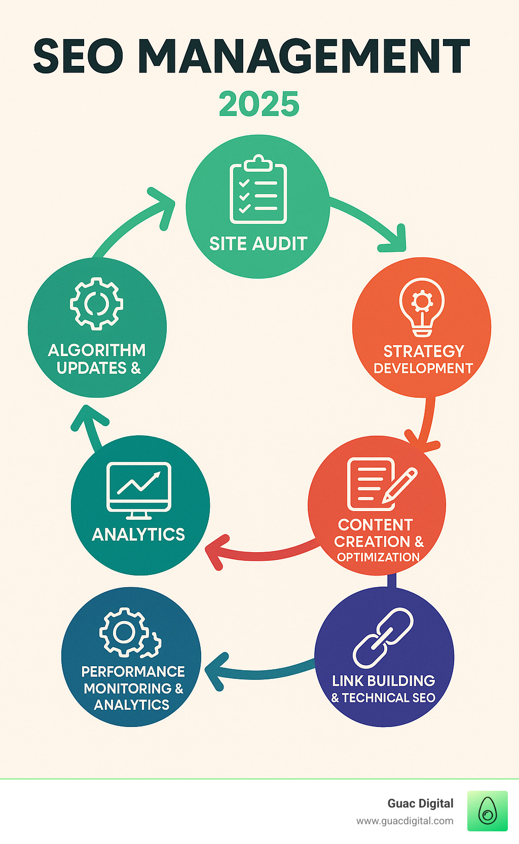 Infographic showing the cyclical SEO management process: Site Audit leading to Strategy Development, then Content Creation and Optimization, followed by Link Building and Technical SEO, then Performance Monitoring and Analytics, and finally Algorithm Updates and Adjustments, creating a continuous loop back to Site Audit - seo management infographic 