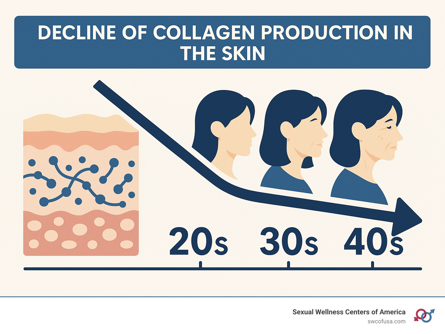 infographic explaining the decline of collagen production in the skin over decades - peptide and collagen infographic