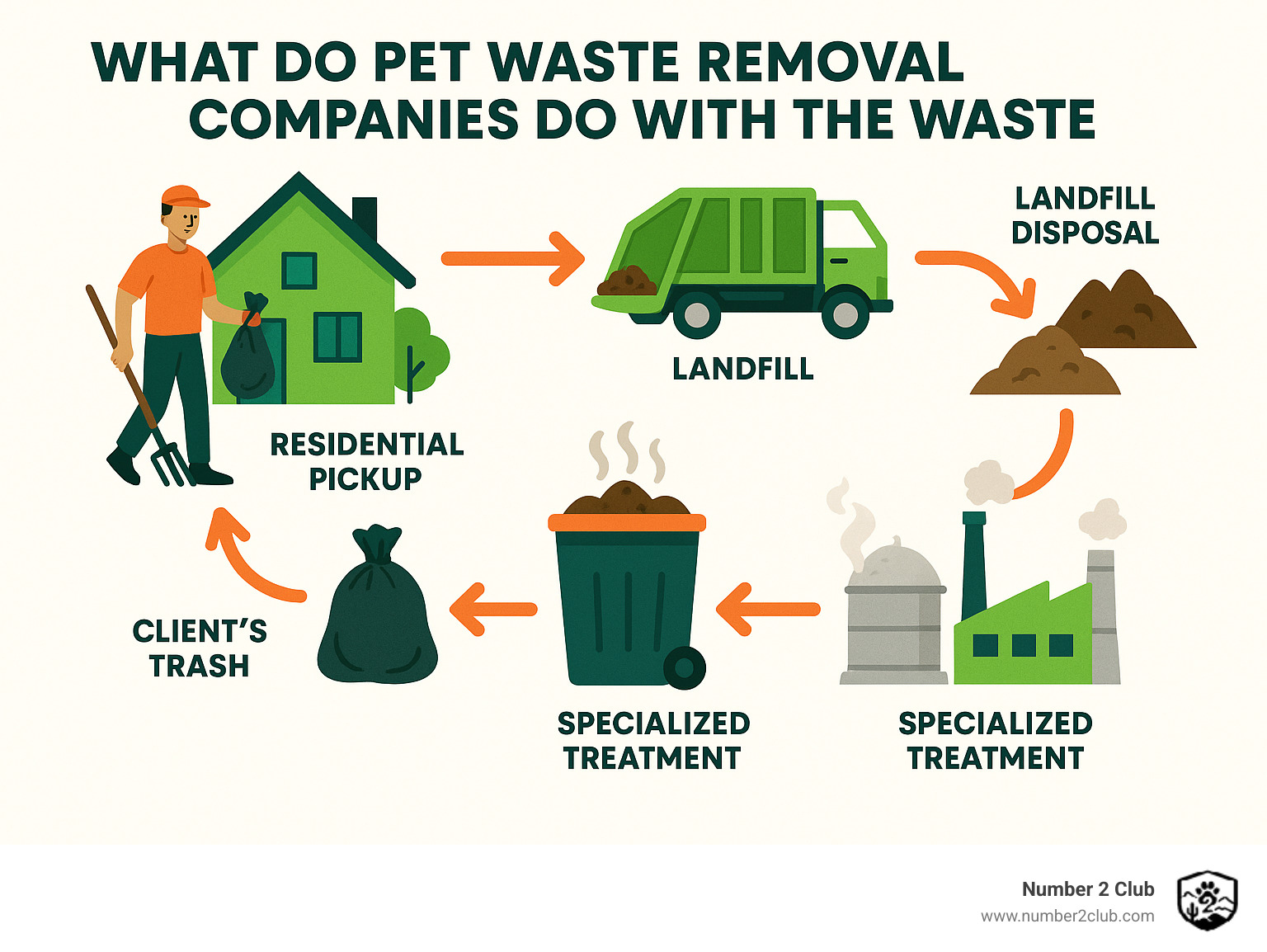 Infographic showing the journey of pet waste from residential pickup through various disposal methods including landfill transport, composting facilities, and specialized treatment options with arrows indicating the flow from collection to final processing - what do pet waste removal companies do with the waste infographic 