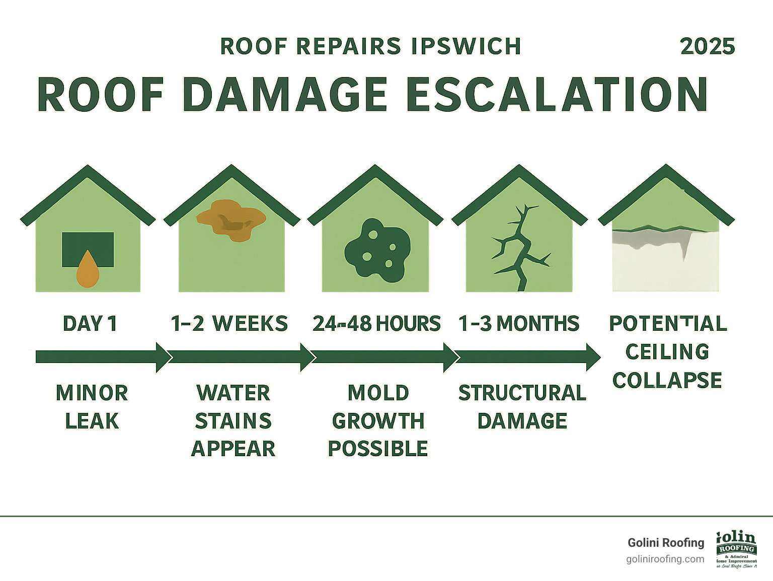 Infographic showing the timeline of roof damage escalation: minor leak day 1, water stains appear within 1-2 weeks, mold growth possible within 24-48 hours, structural damage within 1-3 months, and potential ceiling collapse if left untreated - roof repairs ipswich infographic