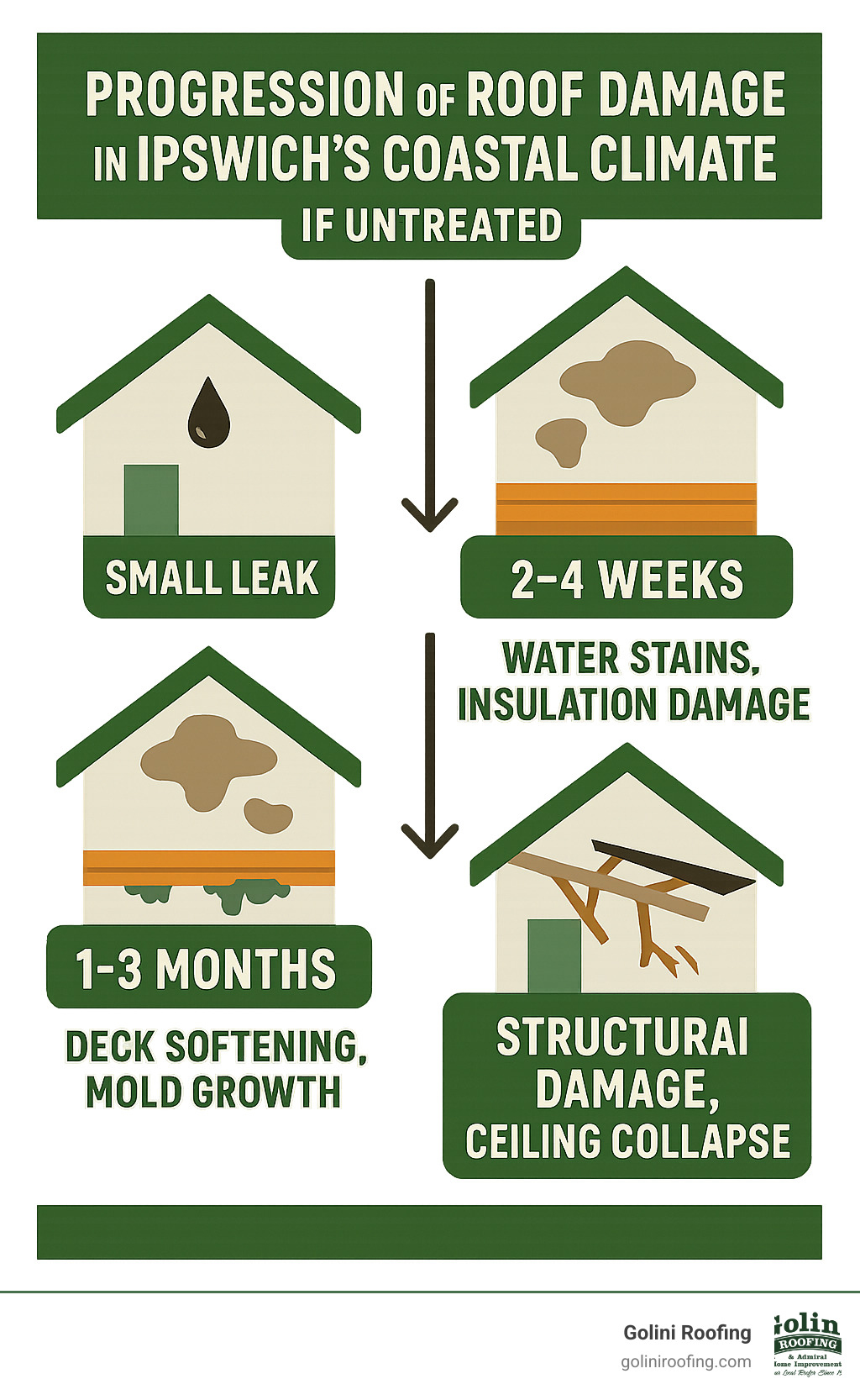 Infographic showing the progression of roof damage in Ipswich's coastal climate: starting with a small leak, progressing through water stains and insulation damage within 2-4 weeks, leading to deck softening and mold growth within 1-3 months, and culminating in structural damage and potential ceiling collapse if left untreated - roof repairs ipswich infographic 