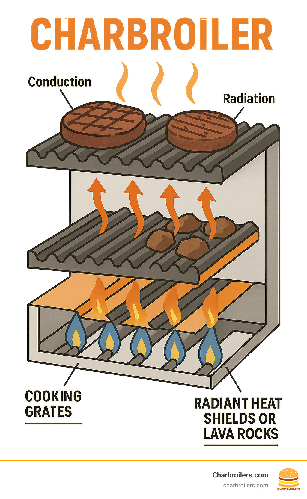 Detailed infographic showing the anatomy of a commercial charbroiler with labeled components: gas burners at bottom producing flames, radiant heat shields or lava rocks in middle section distributing heat evenly, cooking grates on top holding food, and arrows showing heat transfer methods (conduction, convection, radiation) moving upward to cook steaks and burgers with perfect grill marks - charbroiler infographic 