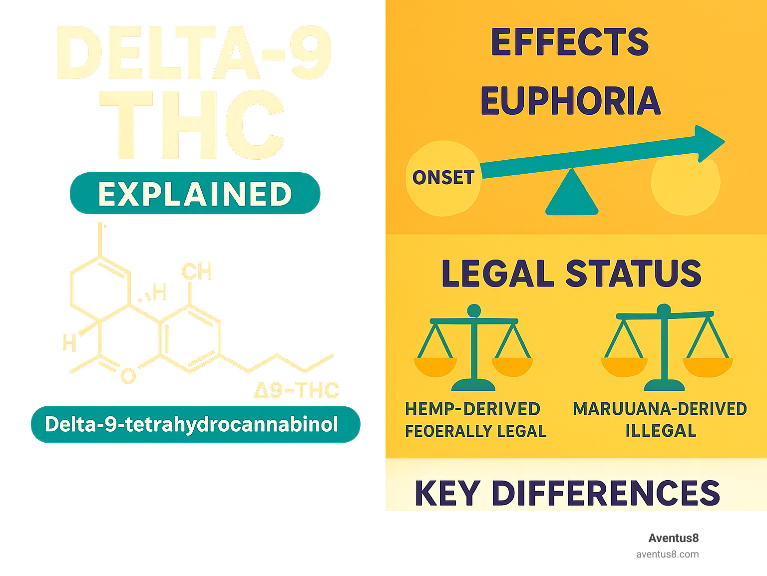 Infographic showing the molecular structure of Delta-9 THC, its effects timeline from onset to duration, legal status comparison between hemp-derived and marijuana-derived forms, and key differences between Delta-8, Delta-9, and CBD compounds - delta-9 thc infographic 
