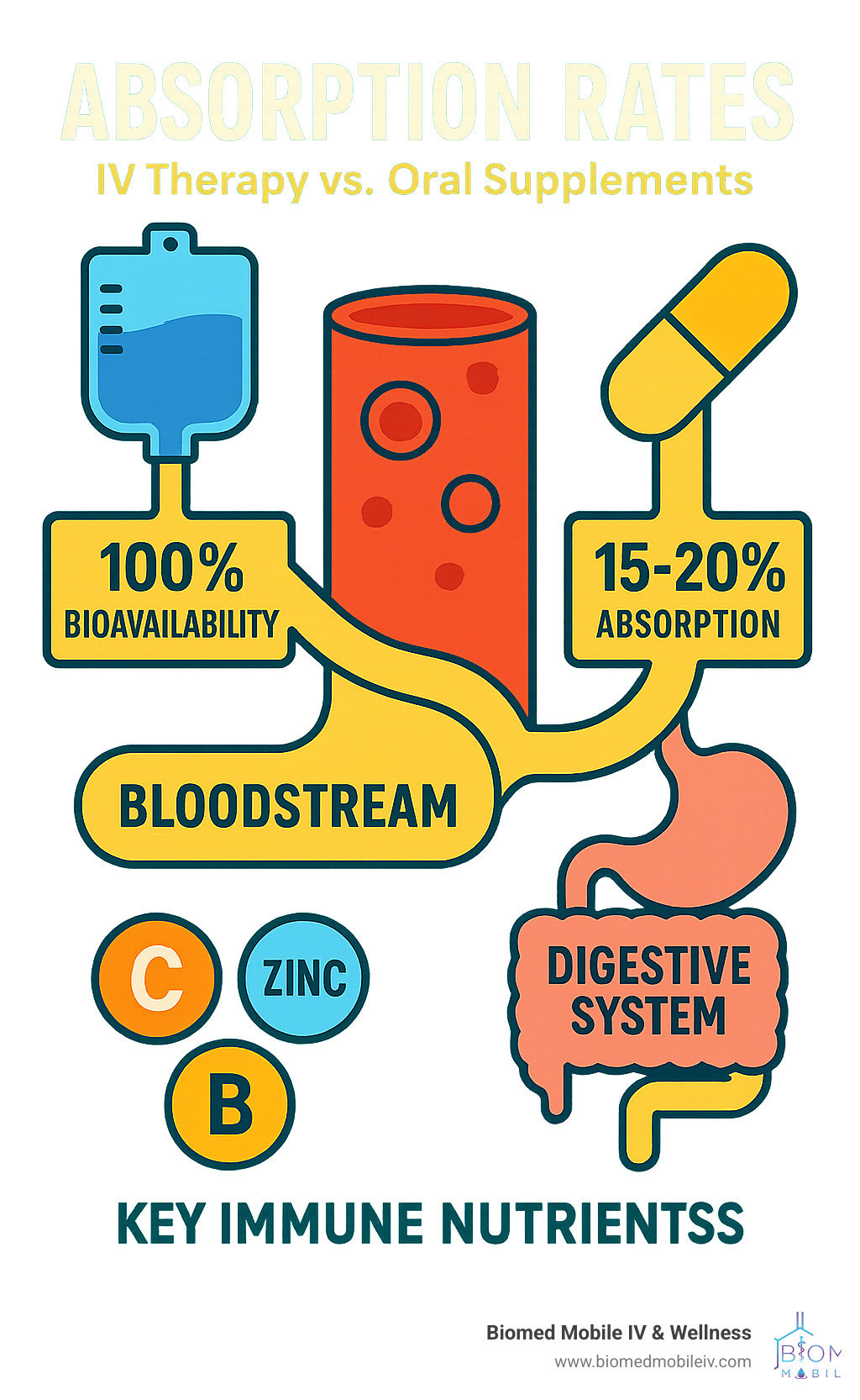 Detailed infographic showing absorption rates: IV therapy achieving 100% bioavailability compared to oral supplements at 15-20% absorption, with arrows showing direct bloodstream delivery versus digestive system processing for key immune nutrients like Vitamin C, Zinc, and B-Complex vitamins - cold and flu iv drip infographic 