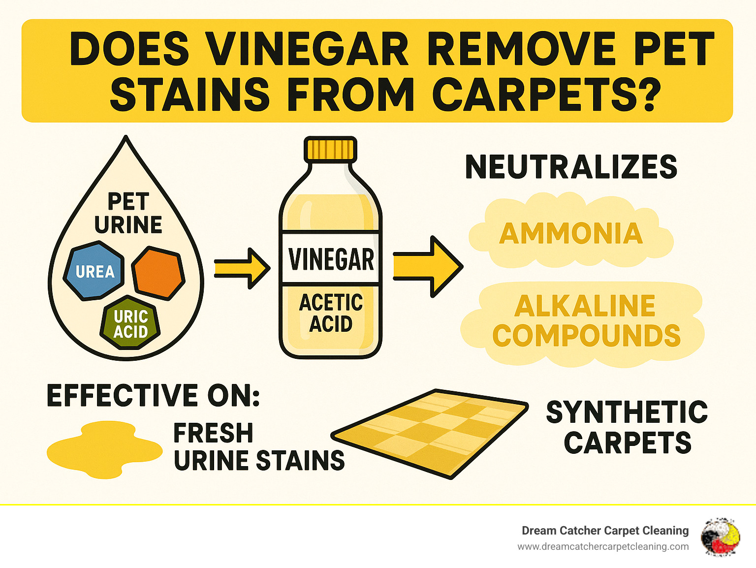 Infographic showing the chemical breakdown of pet urine components (urea, creatinine, uric acid) and how vinegar's acetic acid neutralizes ammonia and alkaline compounds, with effectiveness ratings for different stain types and carpet materials - does vinegar remove pet stains from carpets infographic 