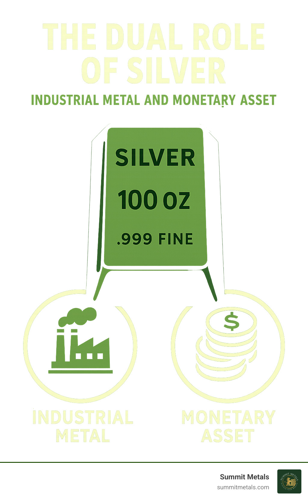 Infographic explaining the dual role of silver as both an industrial metal and a monetary asset. - 100 oz silver bar infographic 