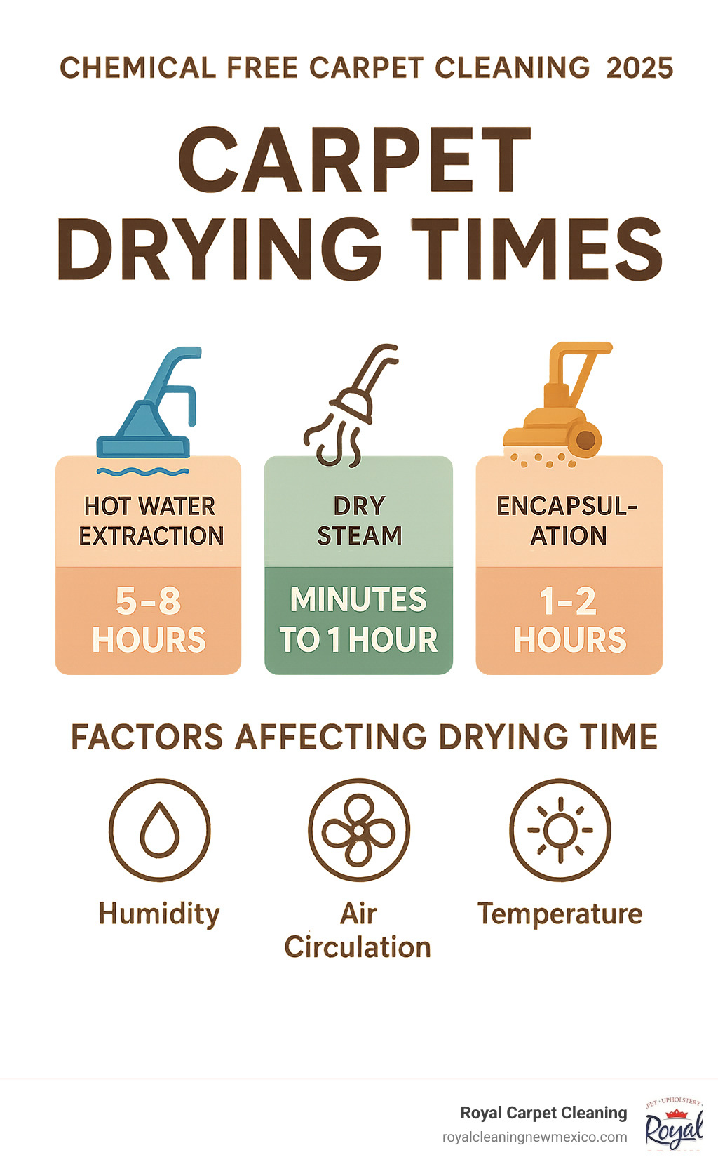 Infographic showing carpet drying times: Hot Water Extraction 5-8 hours, Dry Steam minutes to 1 hour, Encapsulation 1-2 hours, with factors affecting drying time including humidity, air circulation, and temperature - chemical free carpet cleaning infographic 