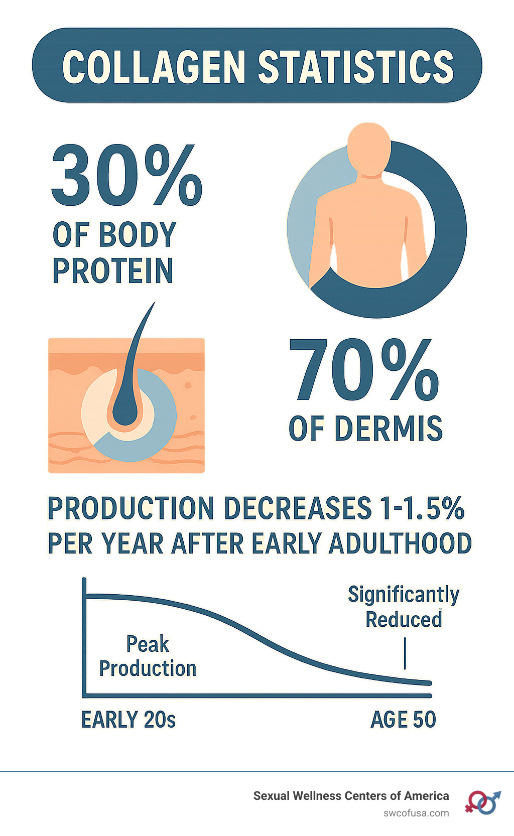 Infographic showing statistics: Collagen makes up 30% of body protein, 70% of dermis composition, and production decreases 1-1.5% annually after early adulthood, with a timeline showing peak production in early 20s declining to significantly reduced levels by age 50 - collagen peptides help hair growth infographic