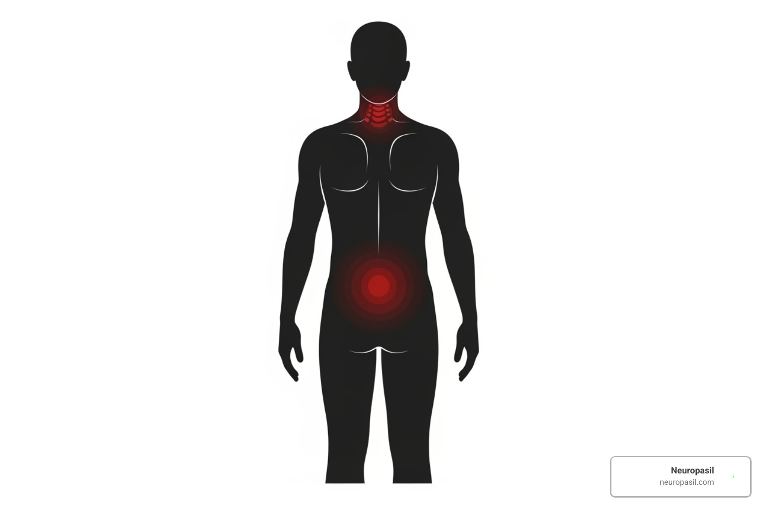 Diagram showing common pain areas like the knee, back, neck, and hands on a human silhouette - affordable pain cream
