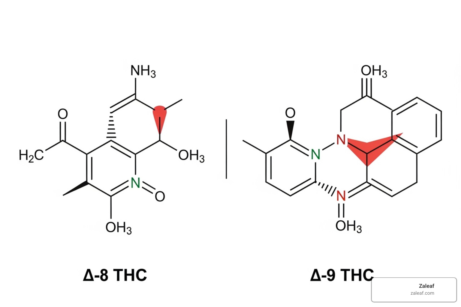 Simplified chemical structures of Delta-8 and Delta-9 THC highlighting the different double bond locations - Delta 8 versus THC