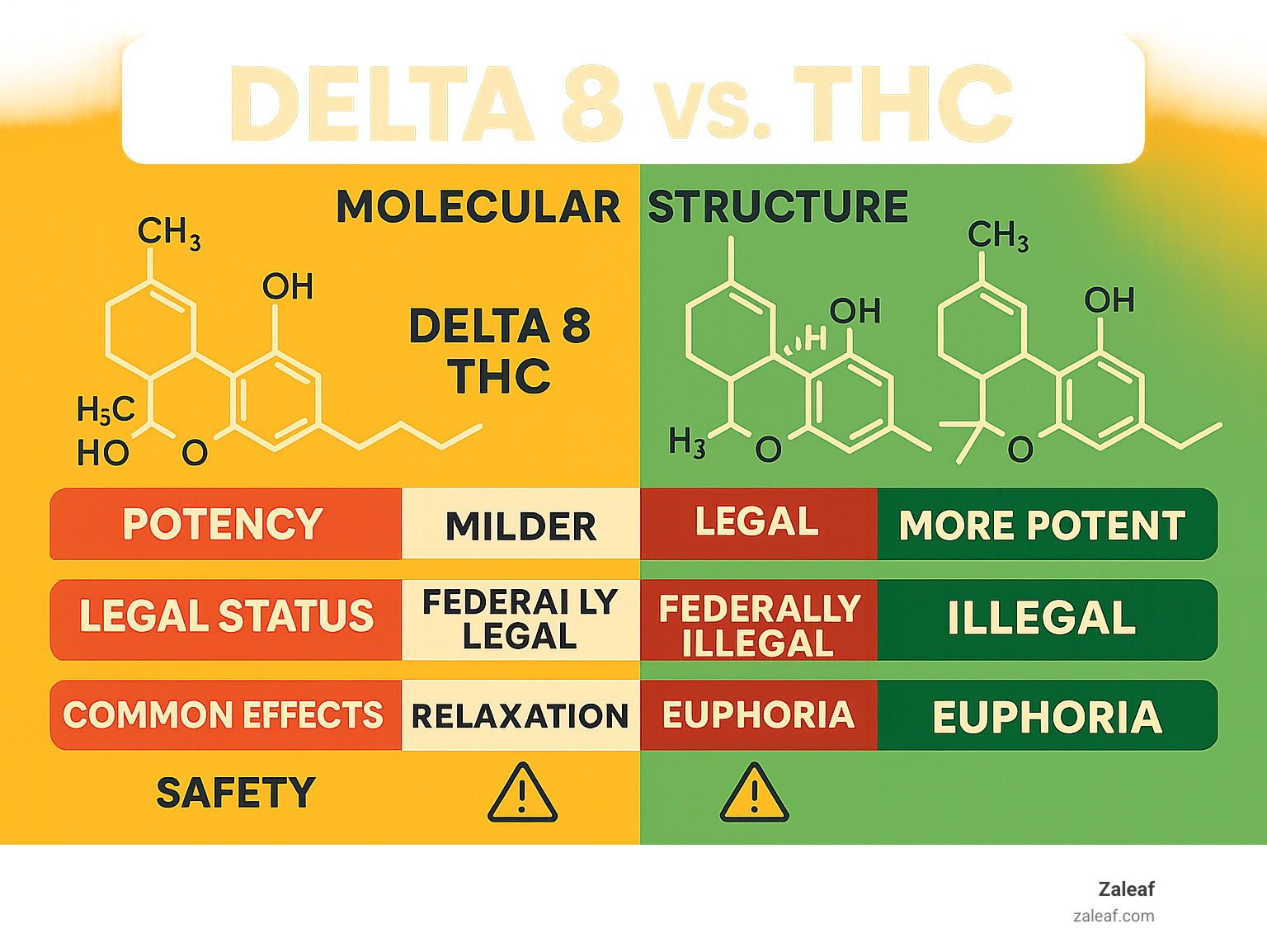 Comprehensive comparison infographic showing Delta 8 THC versus Delta 9 THC differences including molecular structure, potency levels, legal status, common effects, and safety considerations - Delta 8 versus THC infographic 