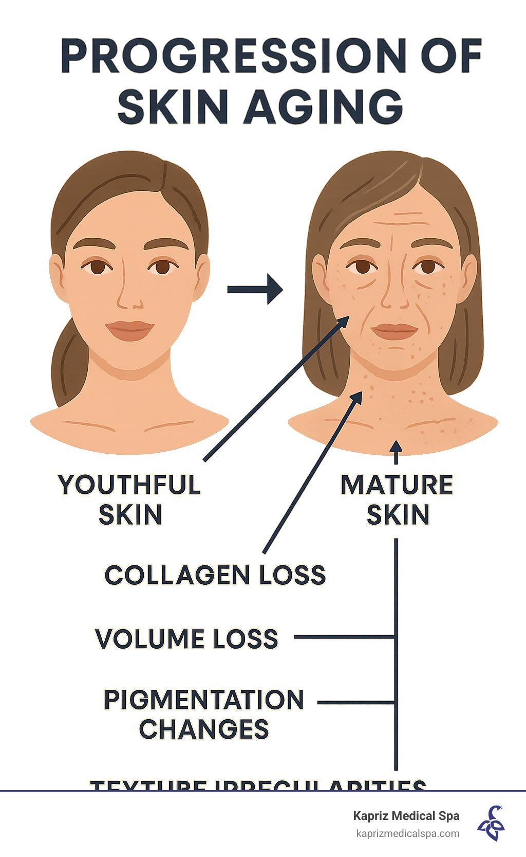 Comprehensive infographic showing the progression of skin aging from youthful skin to mature skin, illustrating key changes like collagen loss, fine line formation, volume depletion in cheeks and temples, pigmentation changes, and texture irregularities, with arrows pointing to specific areas affected by aging - refresh skin treatment infographic Comprehensive infographic showing the progression of skin aging from youthful skin to mature skin, illustrating key changes like collagen loss, fine line formation, volume depletion in cheeks and temples, pigmentation changes, and texture irregularities, with arrows pointing to specific areas affected by aging - refresh skin treatment infographic