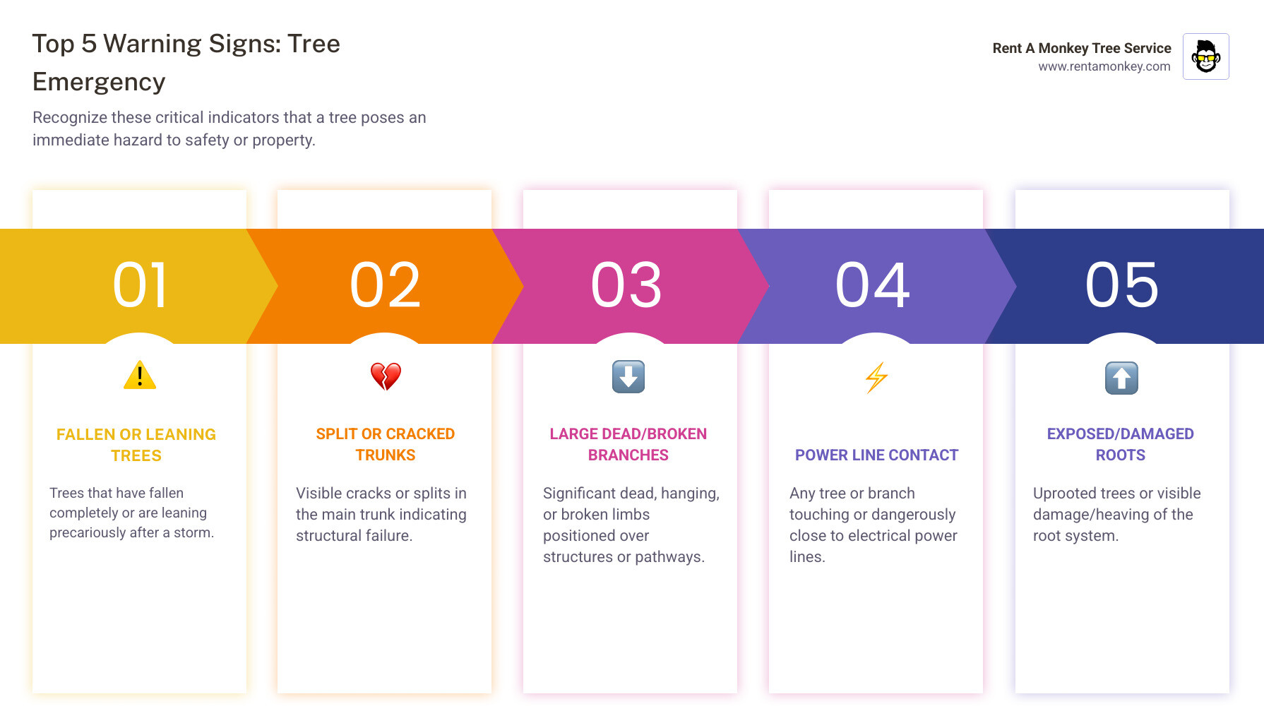 Infographic showing the top 5 warning signs of a tree emergency: fallen or leaning trees after storms, split or cracked trunks, large dead branches hanging over structures, trees in contact with power lines, and exposed or damaged root systems - emergency tree removal in salt lake city ut infographic pillar-5-steps