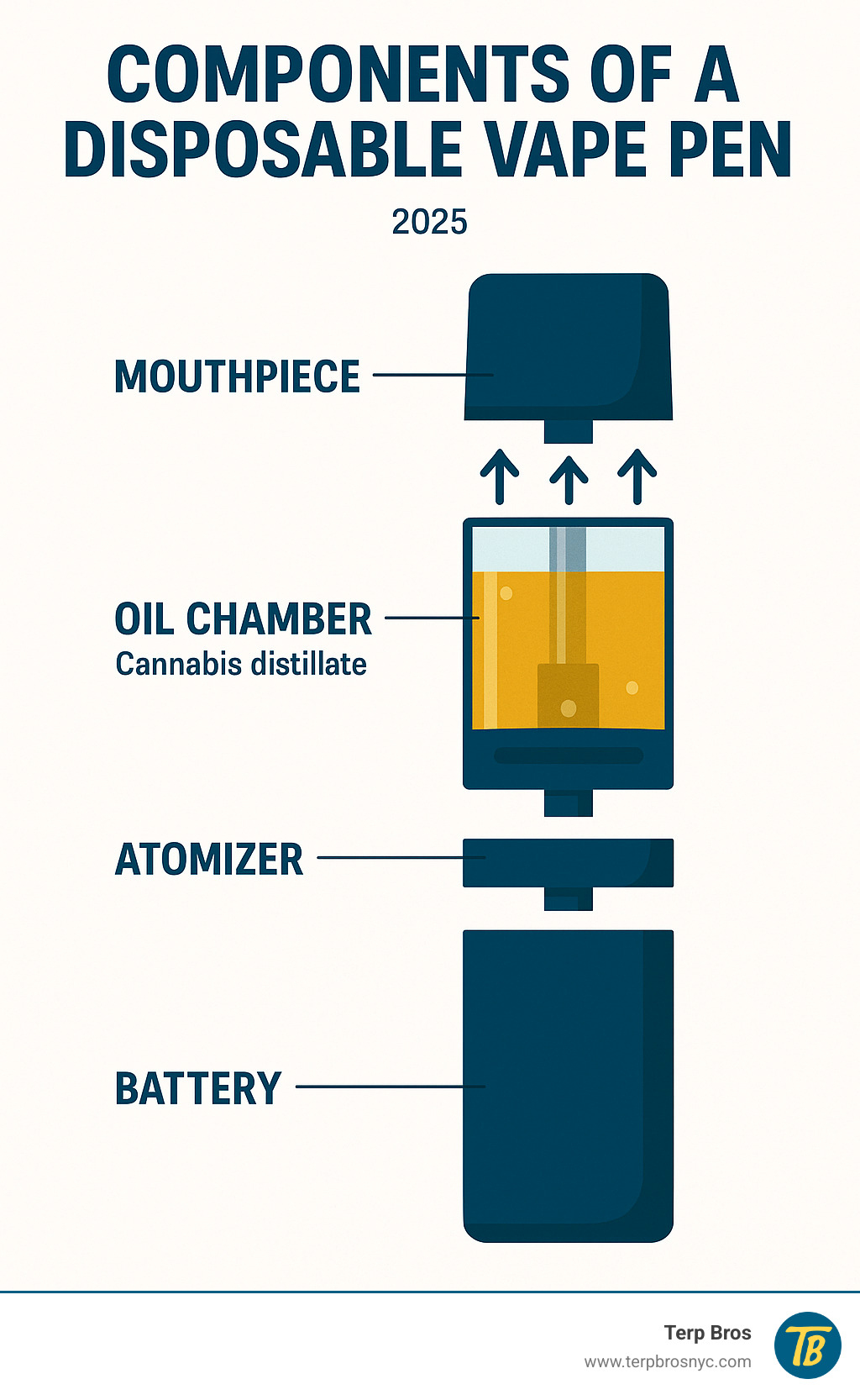 Infographic showing the basic components of a disposable vape pen including battery at the bottom, atomizer in the middle, oil chamber containing cannabis distillate, and mouthpiece at the top, with labels and arrows indicating airflow direction - are stiiizy disposables good infographic 