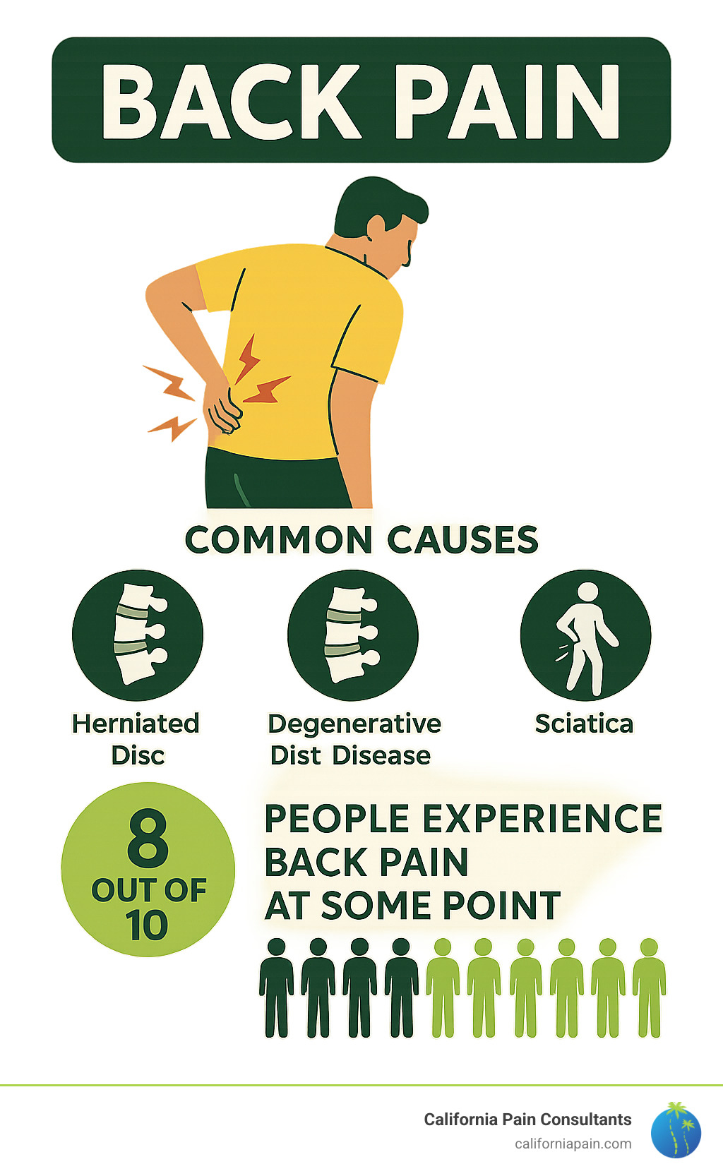 Infographic detailing common causes of back pain like herniated discs and sciatica, and statistics on its prevalence, highlighting that 8 out of 10 people experience back pain at some point. - back pain specialist chula vista infographic 