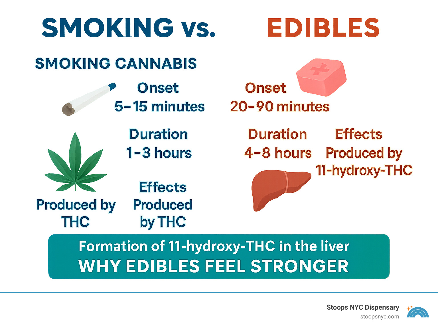 Detailed comparison infographic showing onset times, duration, and effects differences between smoking cannabis (5-15 minutes onset, 1-3 hours duration) versus consuming edibles (20-90 minutes onset, 4-8 hours duration), including explanation of 11-hydroxy-THC formation in liver and why edibles feel stronger - gron edibles infographic