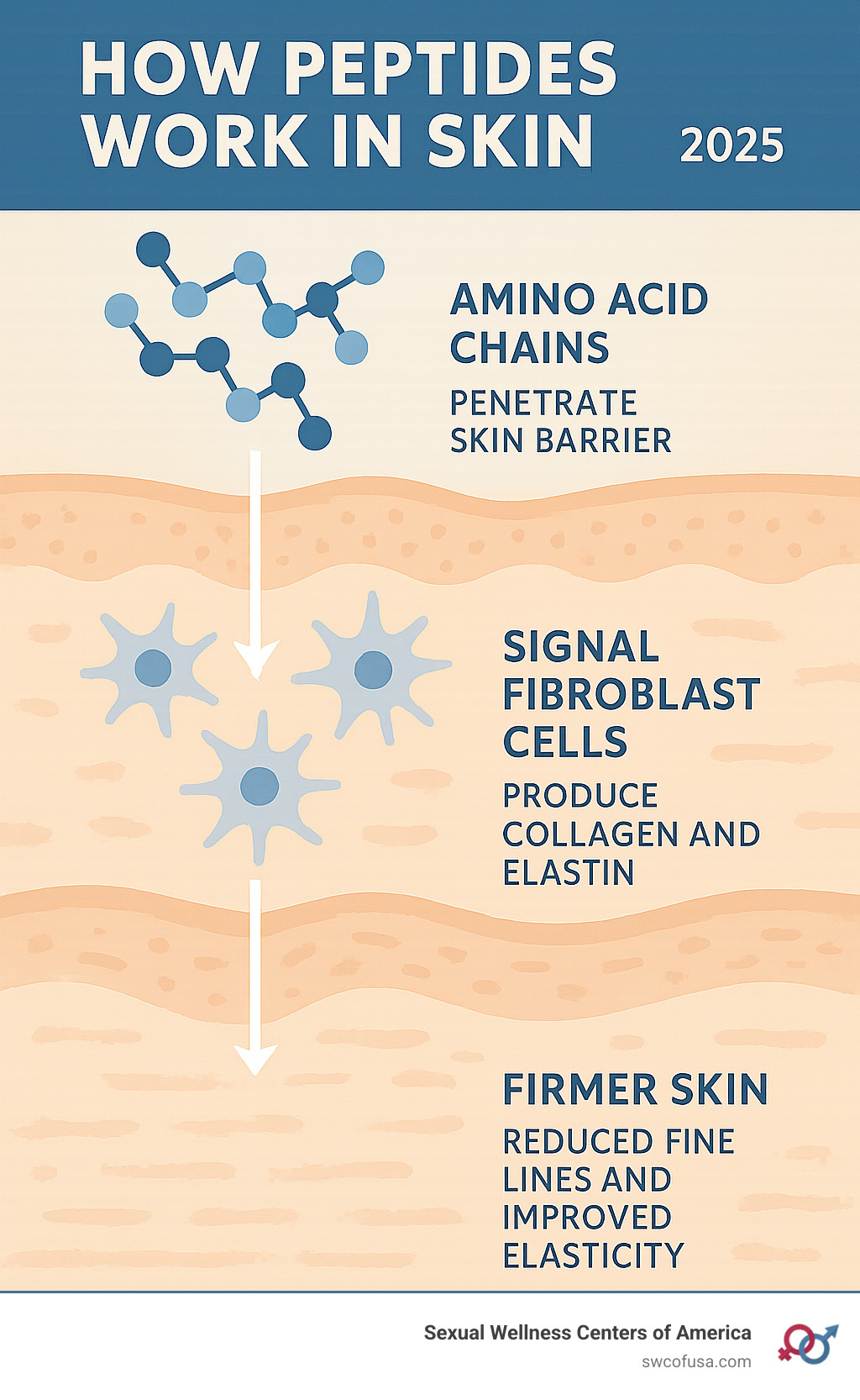 What are Peptides in Skincare: Unlock Youthful, Radiant Skin Now