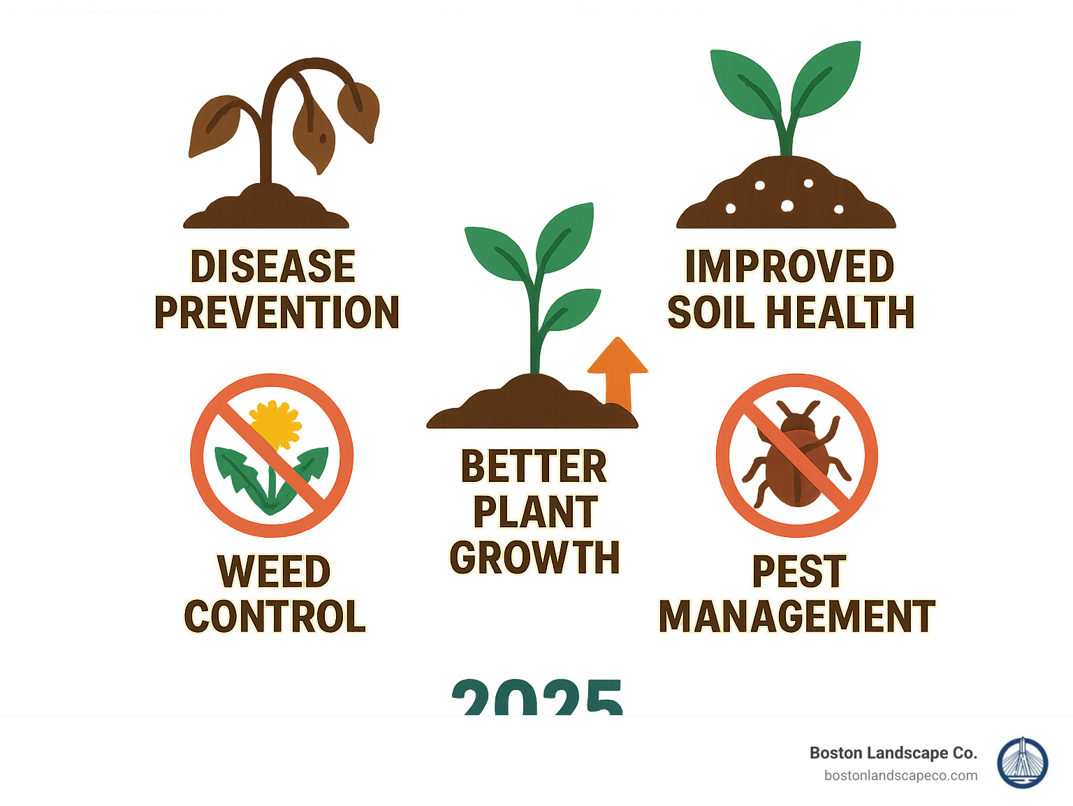Seasonal garden bed clean up benefits including disease prevention, improved soil health, better plant growth, weed control, and pest management shown in an easy-to-understand visual format - garden bed clean up infographic 
