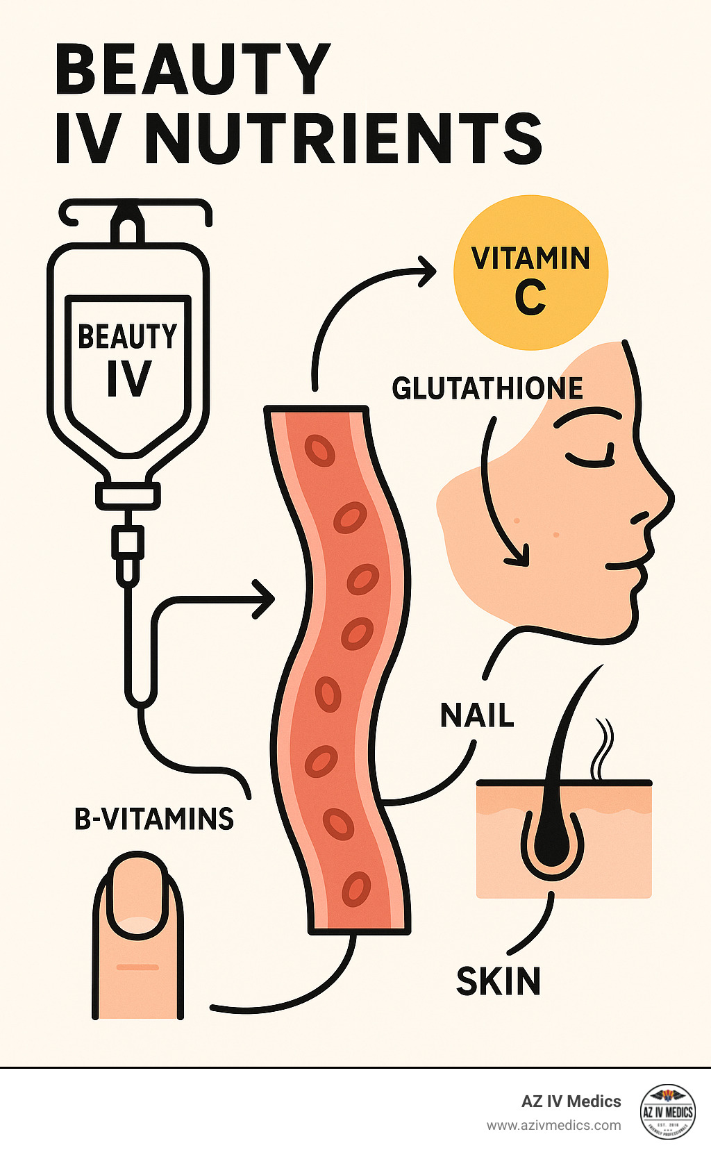 Infographic showing the journey of beauty IV nutrients from the IV bag through a catheter into the bloodstream, then to skin cells, hair follicles, and nail beds, highlighting key ingredients like Vitamin C for collagen, Glutathione for antioxidant protection, and B-vitamins for cellular energy and repair - beauty iv infographic 