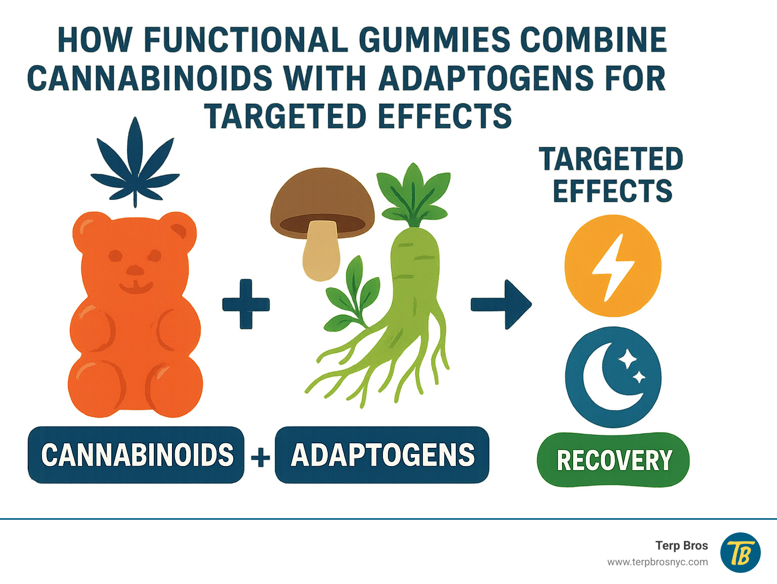Infographic explaining how functional gummies combine cannabinoids with adaptogens for targeted effects - eaton edibles infographic 