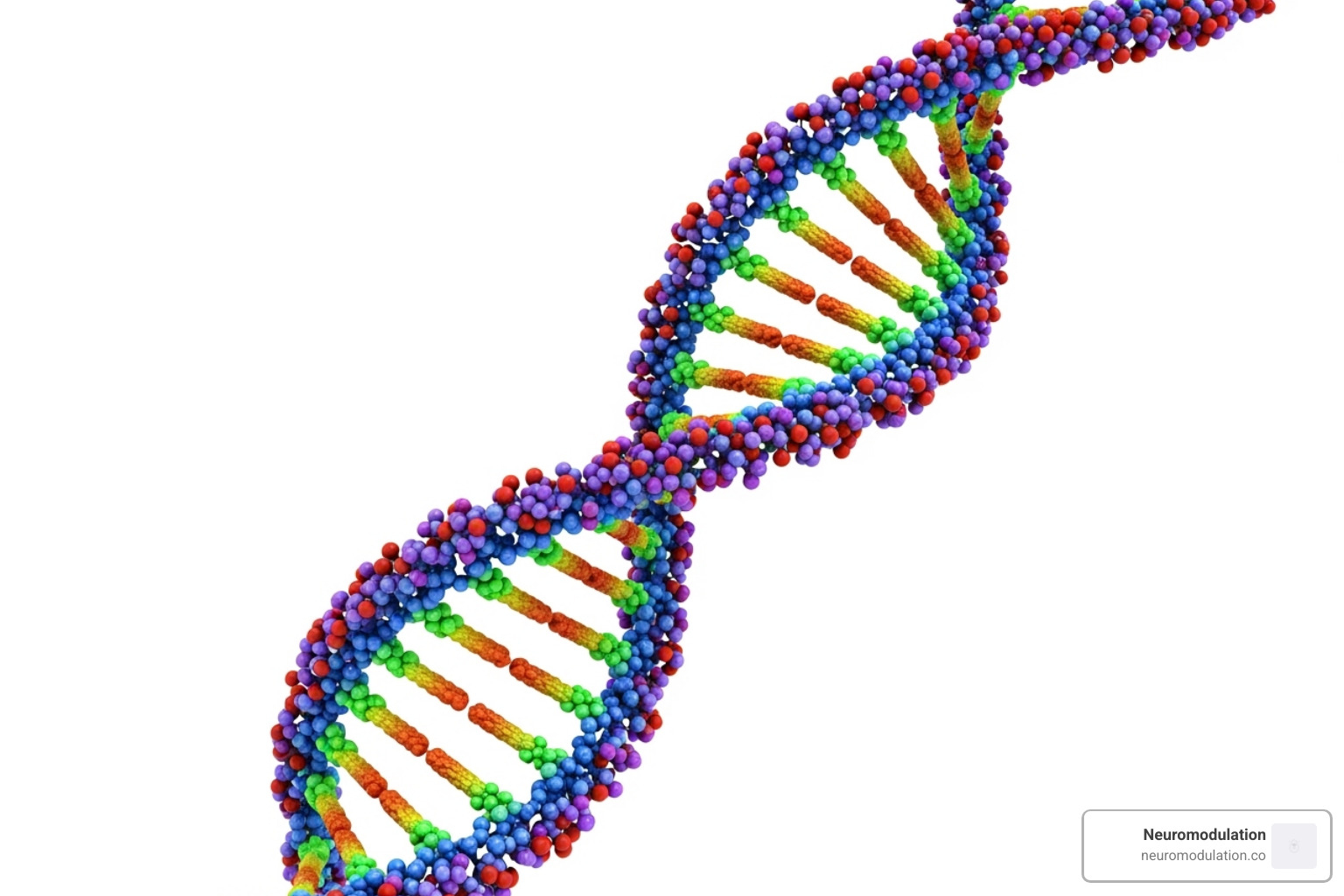 DNA helix representing genetics - essential tremor