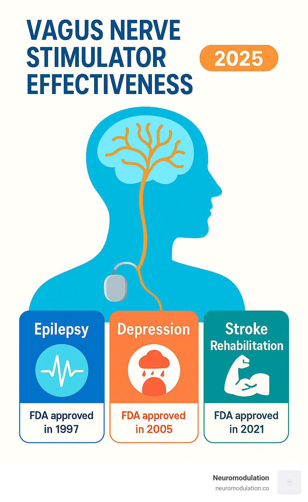 Infographic on VNS effectiveness for epilepsy, depression, and stroke rehabilitation - Vagus nerve stimulator infographic 