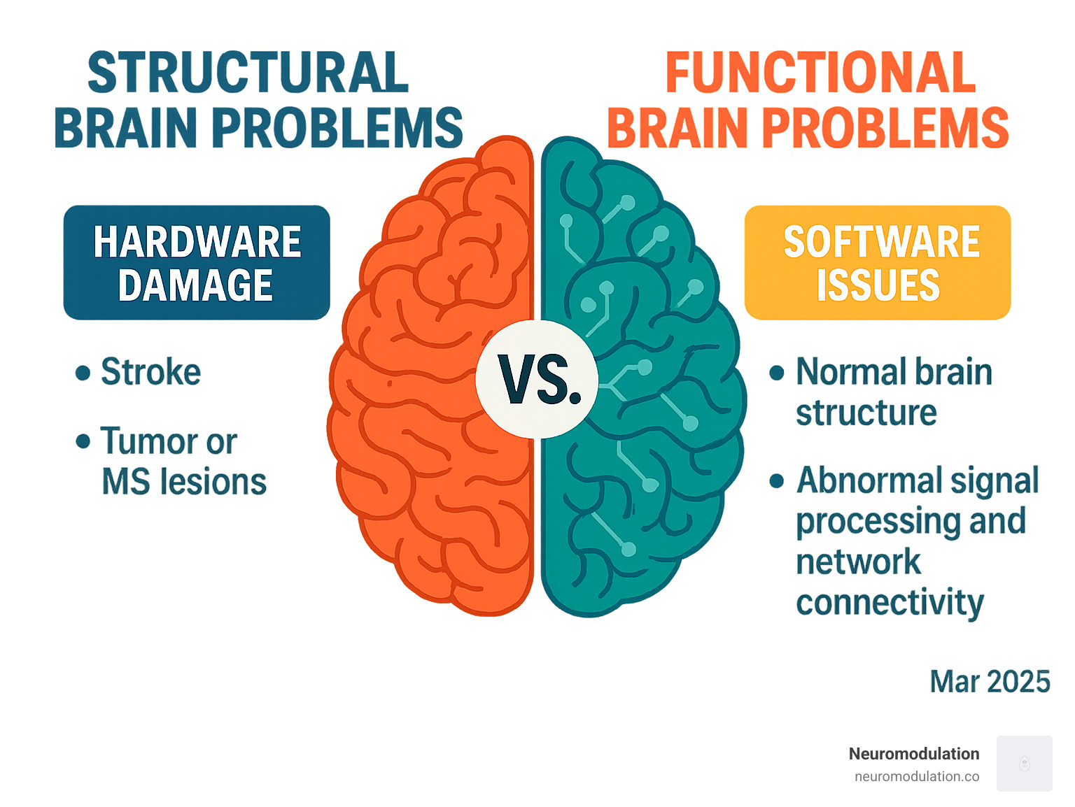 Infographic showing the difference between structural brain problems (hardware damage like stroke, tumor, or MS lesions) versus functional brain problems (software issues with normal brain structure but abnormal signal processing and network connectivity) - Functional neurological disorder infographic Infographic showing the difference between structural brain problems (hardware damage like stroke, tumor, or MS lesions) versus functional brain problems (software issues with normal brain structure but abnormal signal processing and network connectivity) - Functional neurological disorder infographic