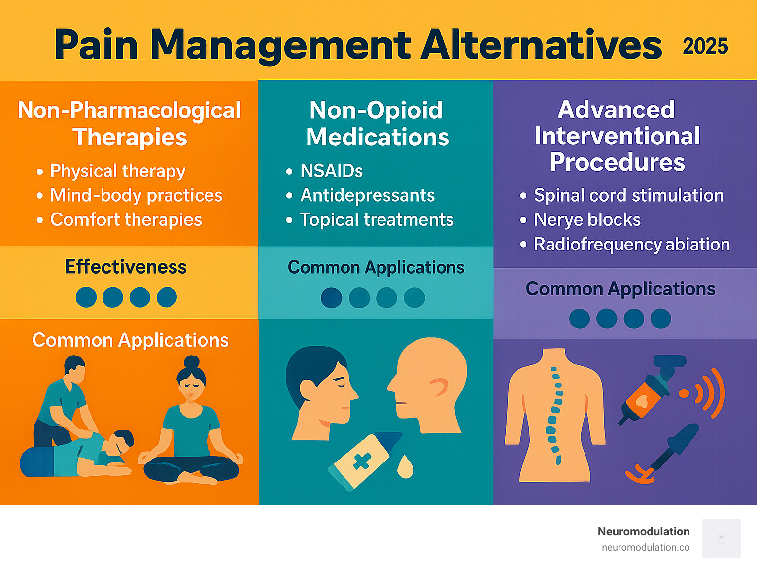 Comprehensive infographic showing the three main categories of pain management alternatives: Non-pharmacological therapies (including physical therapy, mind-body practices, and comfort therapies), Non-opioid medications (NSAIDs, antidepressants, and topical treatments), and Advanced interventional procedures (spinal cord stimulation, nerve blocks, and radiofrequency ablation), with effectiveness ratings and common applications for each category - Pain management alternatives infographic Comprehensive infographic showing the three main categories of pain management alternatives: Non-pharmacological therapies (including physical therapy, mind-body practices, and comfort therapies), Non-opioid medications (NSAIDs, antidepressants, and topical treatments), and Advanced interventional procedures (spinal cord stimulation, nerve blocks, and radiofrequency ablation), with effectiveness ratings and common applications for each category - Pain management alternatives infographic