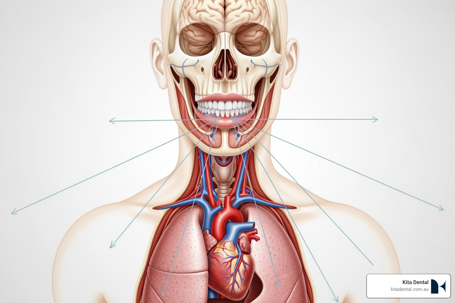 Illustration of the mouth-body connection showing links from mouth to heart, lungs, and brain - benefits of scaling and root planing Illustration of the mouth-body connection showing links from mouth to heart, lungs, and brain - benefits of scaling and root planing
