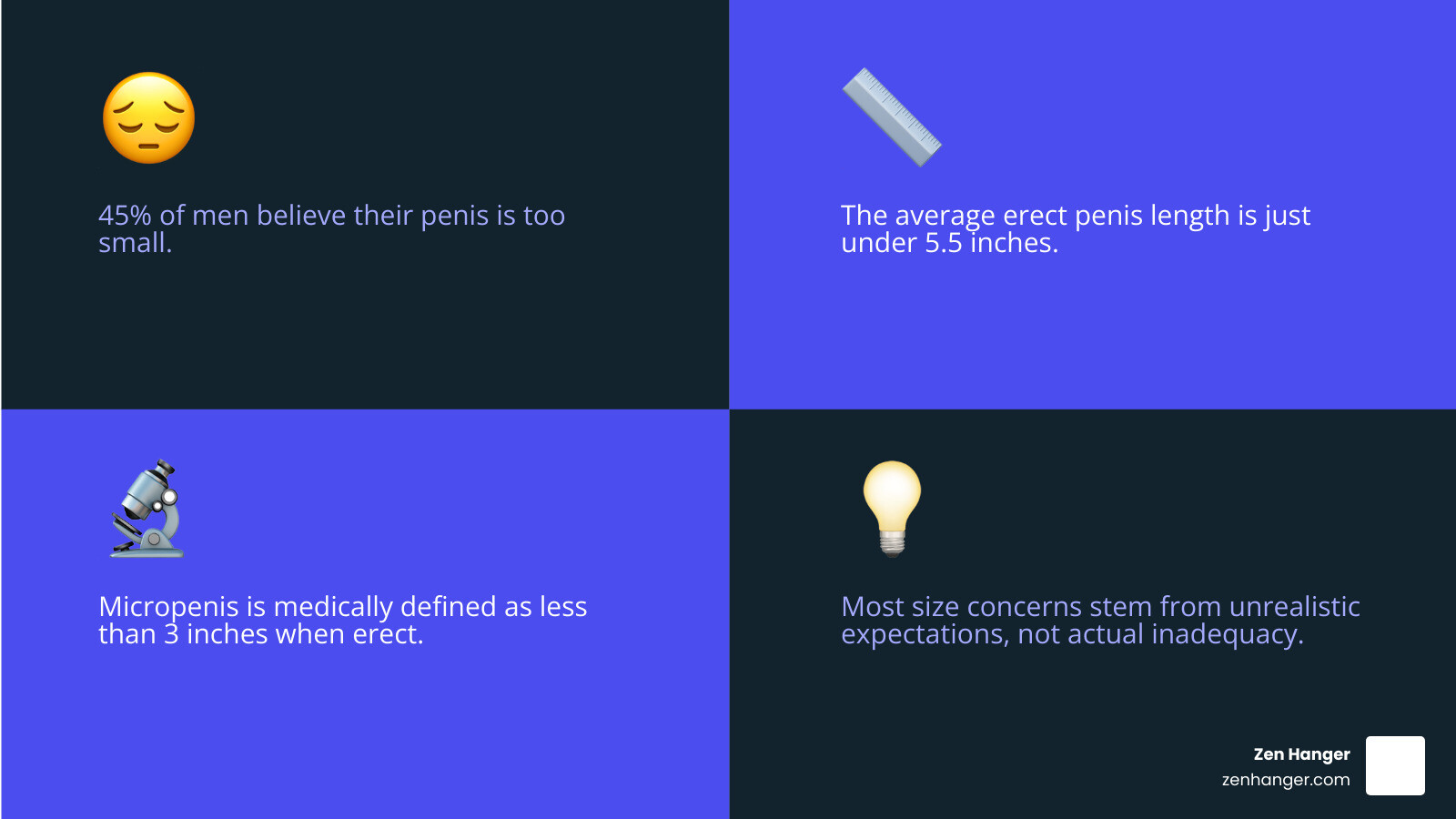 Infographic comparing average penis size statistics with men's self-perception - penis enlargement natural methods infographic 4_facts_emoji_blue