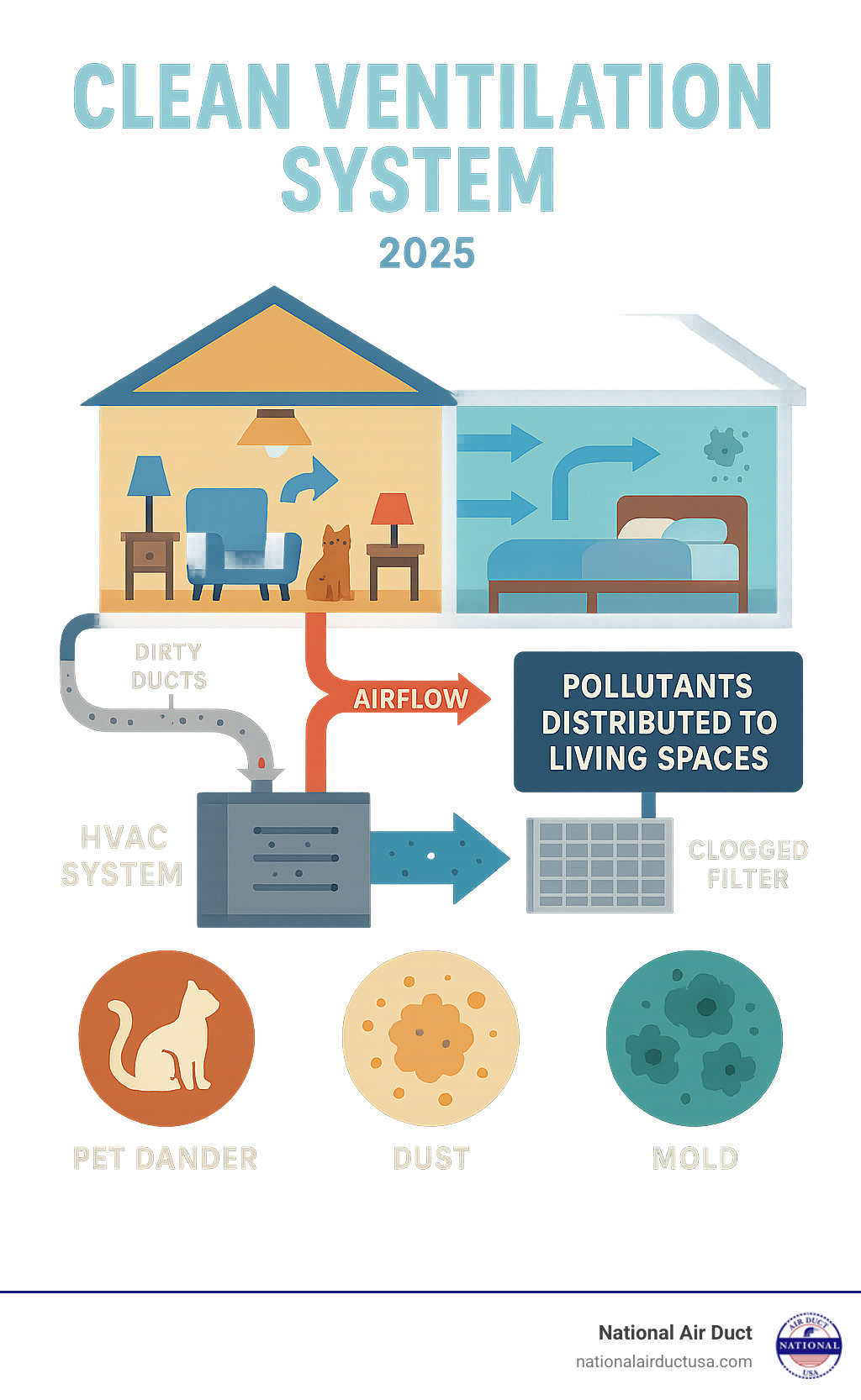Detailed infographic showing how HVAC system circulates air through a home, highlighting contamination points including dirty ducts, clogged filters, and pollutants being distributed to living spaces, with arrows showing air flow patterns and common contaminant sources like pet dander, dust, and mold - Clean ventilation system infographic 