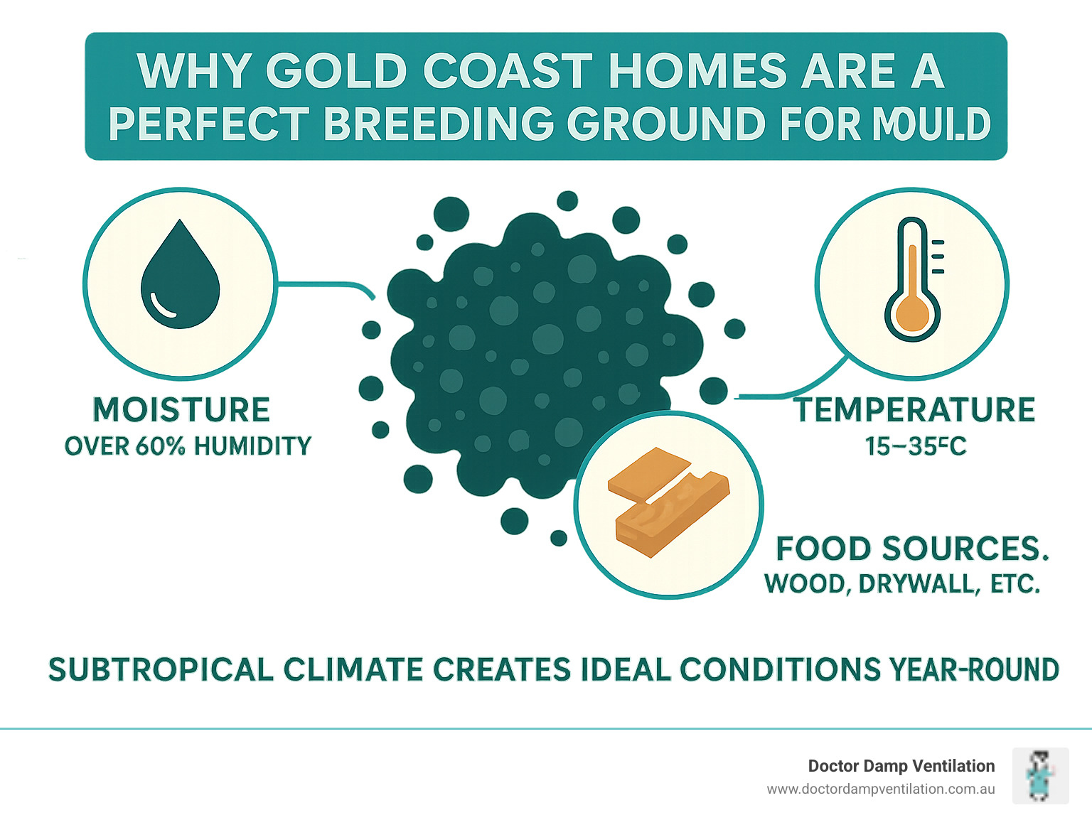 Infographic showing the three essential conditions for mould growth: moisture levels above 60% humidity, organic food sources like wood and drywall, and temperatures between 15-35°C, with Sydney's humid climate creating ideal conditions year-round - home mould inspection sydney infographic 