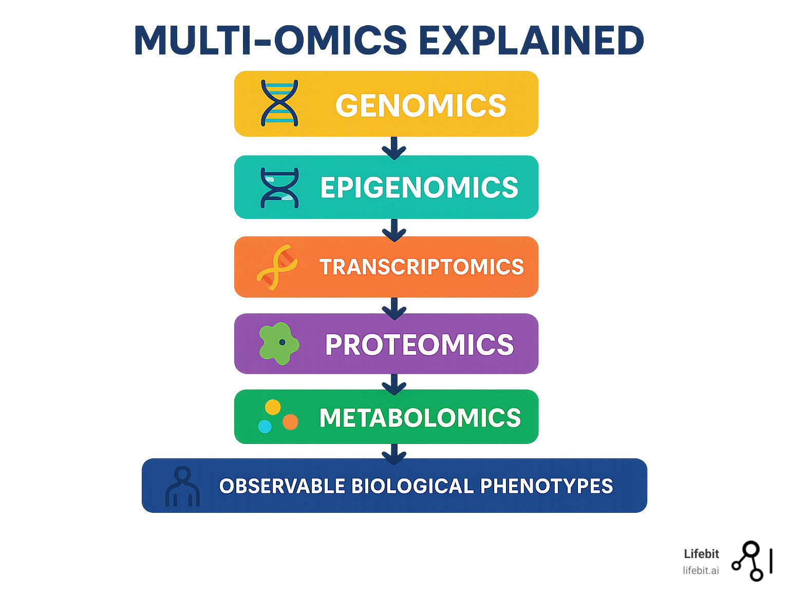Infographic showing the hierarchical flow from genomics (DNA) to epigenomics (gene regulation), transcriptomics (RNA expression), proteomics (protein function), and metabolomics (small molecules), with arrows indicating how each layer influences the next to create observable biological phenotypes - multi-omics infographic 