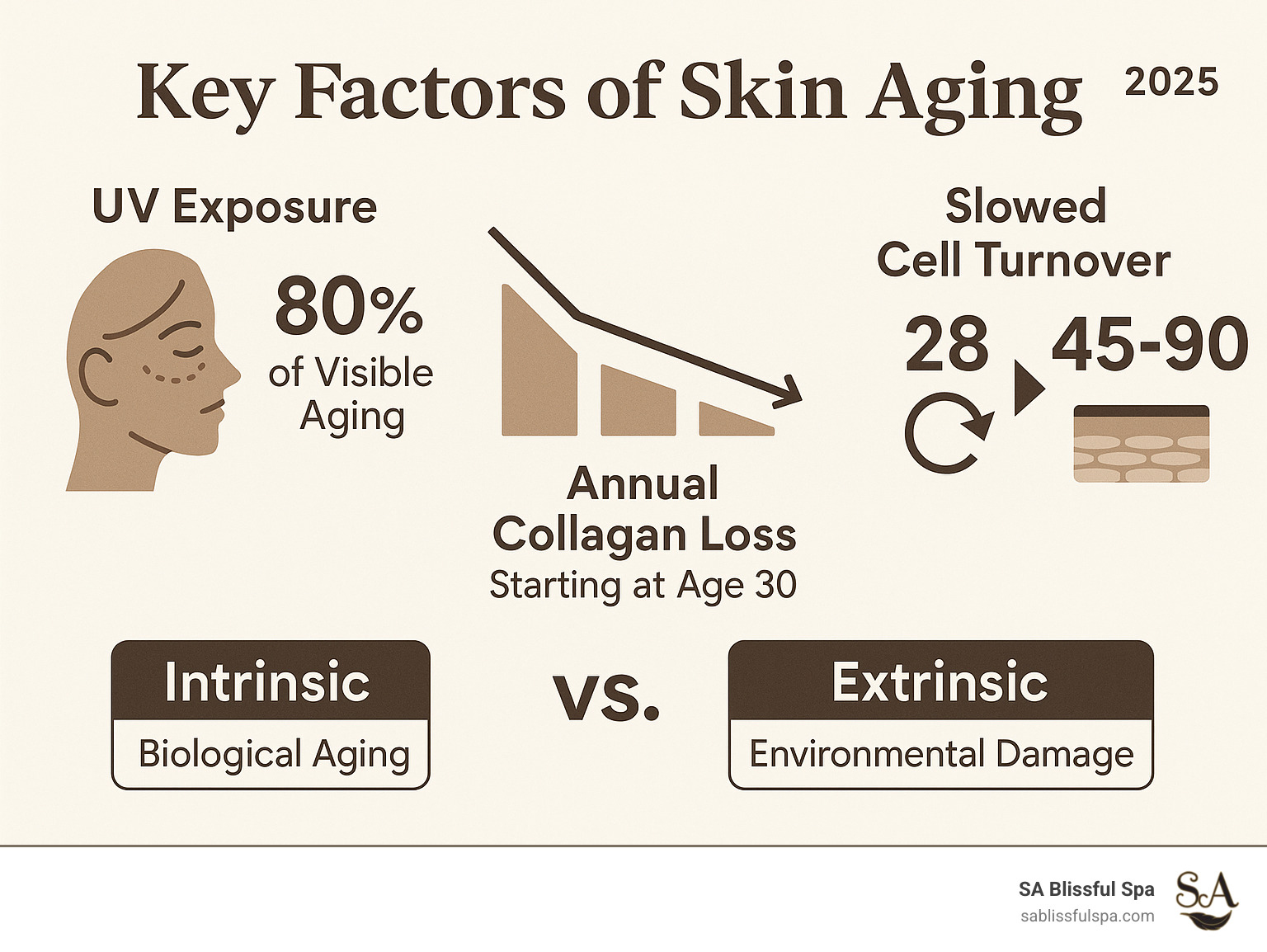 Infographic showing the key factors of skin aging including UV exposure at 80% of visible aging signs, 1% annual collagen loss starting at age 30, slowed cell turnover from 28 days to 45-90 days, and the difference between intrinsic biological aging versus extrinsic environmental damage - Best Facial for Aging Skin infographic 