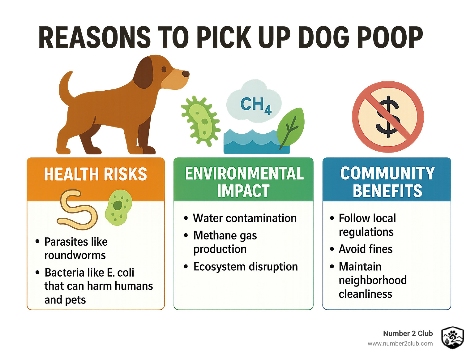 Infographic showing three key reasons to pick up dog poop: Health risks include parasites like roundworms and bacteria like E. coli that can harm humans and pets; Environmental impact includes water contamination, methane gas production, and ecosystem disruption; Community benefits include following local regulations, avoiding fines, and maintaining neighborhood cleanliness - pick up dog poop infographic 