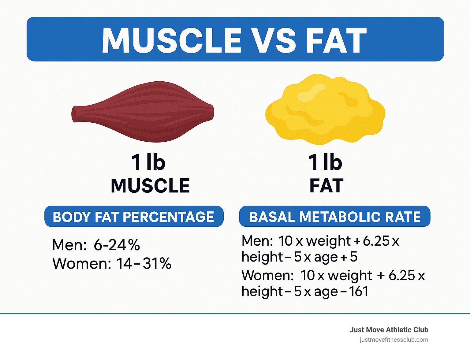 Infographic showing the visual difference between 1 pound of muscle tissue versus 1 pound of fat tissue, with muscle appearing smaller and denser while fat appears larger and fluffier, alongside key metrics like body fat percentage ranges and BMR calculations - Fit3D Pro Body Scanner infographic 