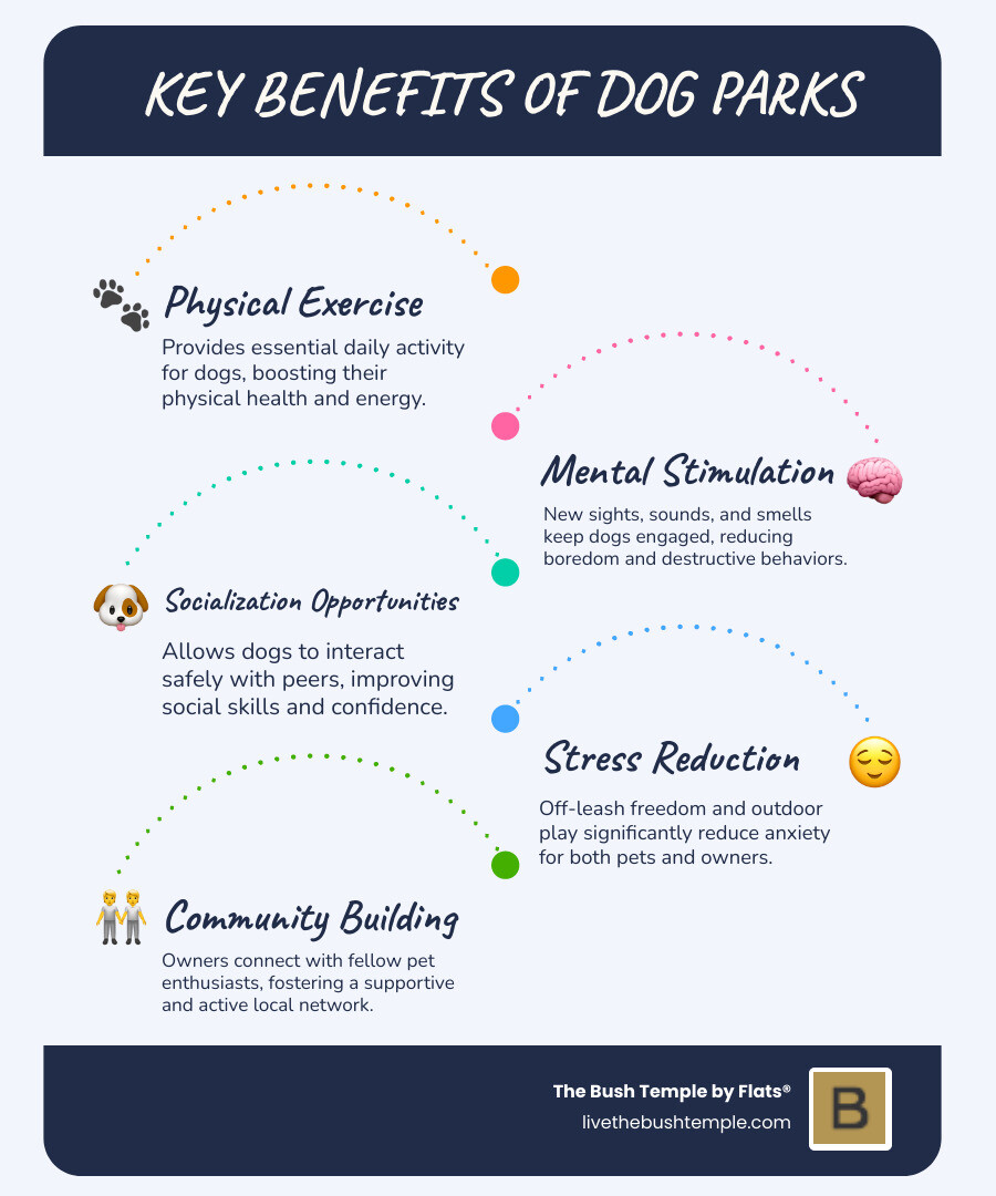 Infographic showing benefits of dog parks including physical exercise, mental stimulation, socialization opportunities, stress reduction, and community building for both dogs and their owners - apartments near dog parks infographic infographic-line-5-steps-blues-accent_colors