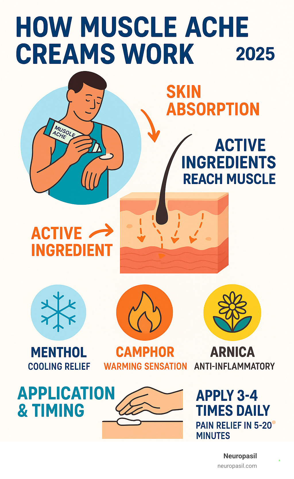 Comprehensive guide showing how muscle ache creams work through skin absorption, featuring different active ingredients like menthol for cooling relief, camphor for warming sensation, and arnica for anti-inflammatory benefits, with application methods and timing for optimal pain relief - muscle ache cream infographic Comprehensive guide showing how muscle ache creams work through skin absorption, featuring different active ingredients like menthol for cooling relief, camphor for warming sensation, and arnica for anti-inflammatory benefits, with application methods and timing for optimal pain relief - muscle ache cream infographic