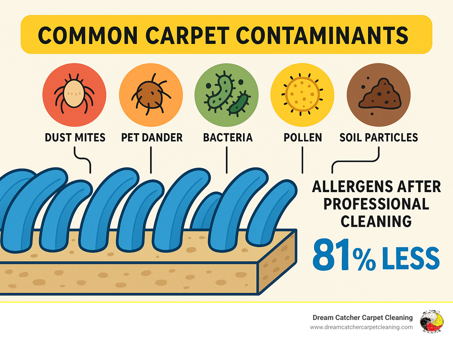 Detailed breakdown of common carpet contaminants including dust mites, pet dander, bacteria, pollen, and soil particles trapped in carpet fibers, with statistics on allergen reduction after professional cleaning - Thornton carpet cleaning specialists infographic 