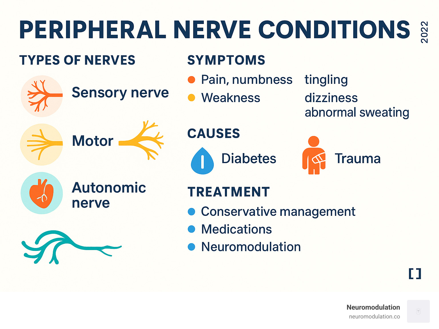 Comprehensive overview of peripheral nerve conditions showing the three main types of nerves (sensory, motor, autonomic), common symptoms for each type, major causes including diabetes and trauma, and treatment approaches ranging from conservative management to advanced neuromodulation therapies - Peripheral nerve conditions infographic Comprehensive overview of peripheral nerve conditions showing the three main types of nerves (sensory, motor, autonomic), common symptoms for each type, major causes including diabetes and trauma, and treatment approaches ranging from conservative management to advanced neuromodulation therapies - Peripheral nerve conditions infographic